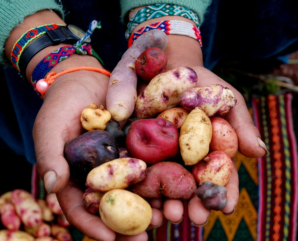 potatoes