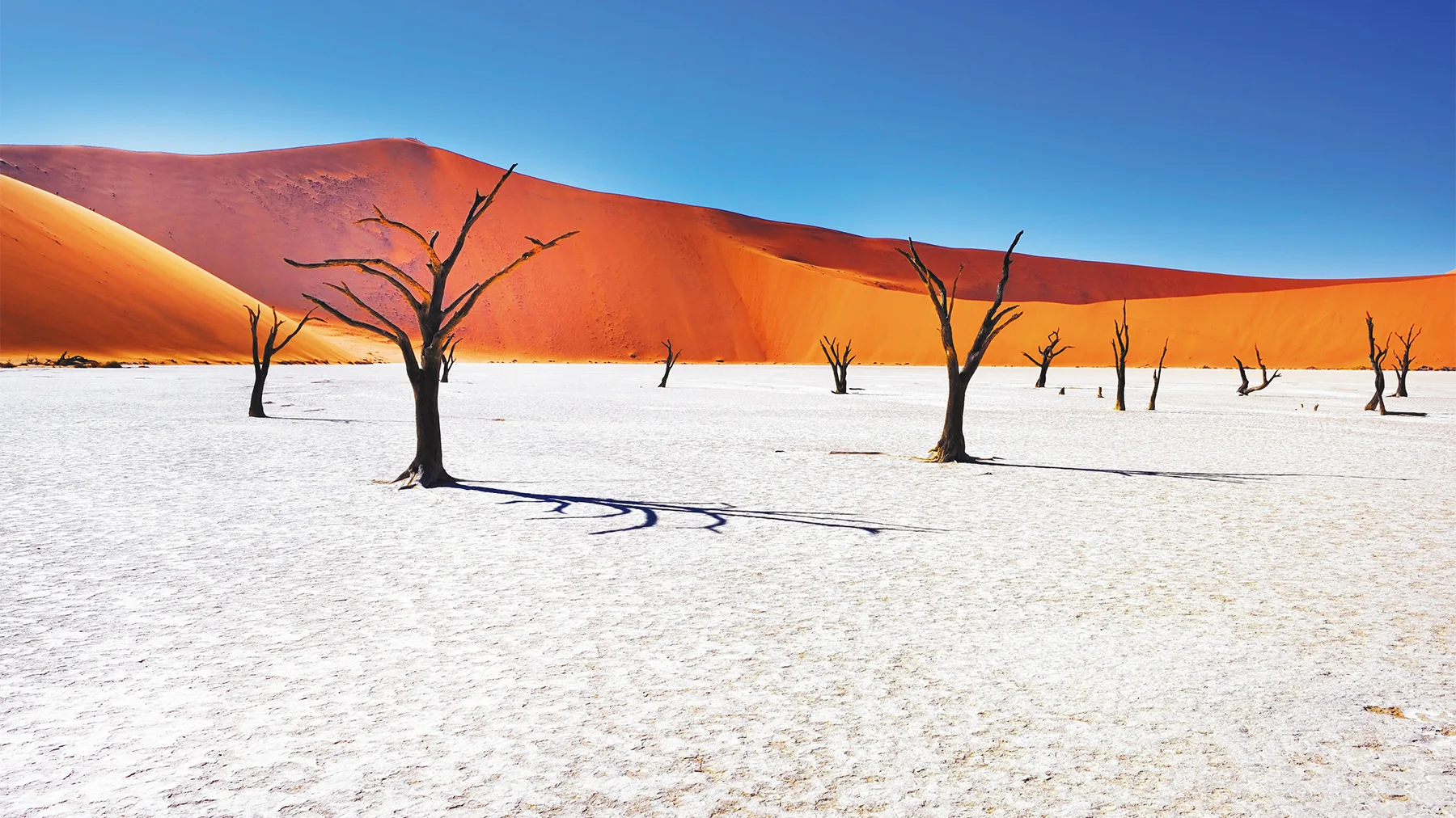 NH_Namibia