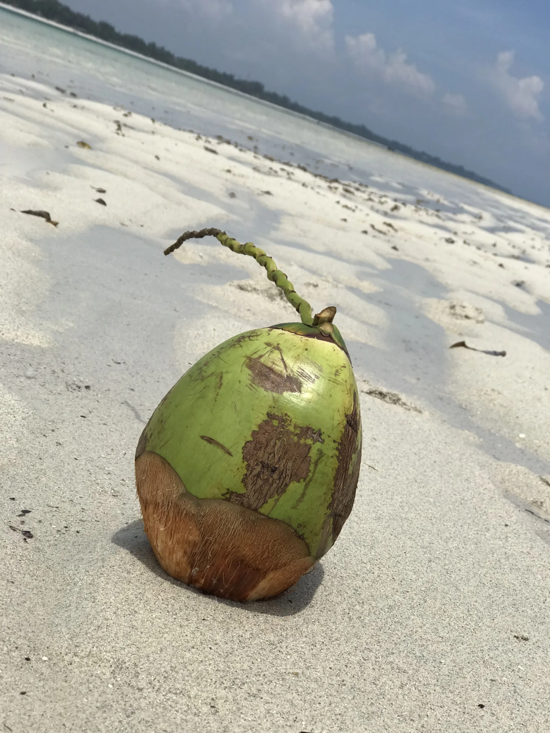 IMG_3477