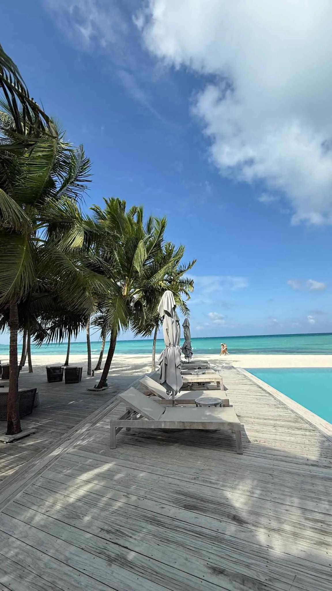 24c675eb-8dee-4bbb-8930-b450488f573a