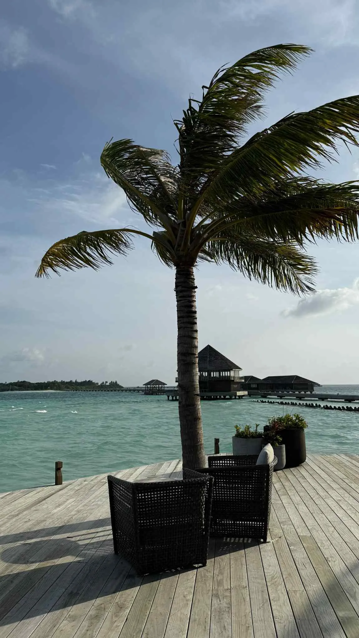 36e36928-25c5-46d9-b394-af4a778a95f5