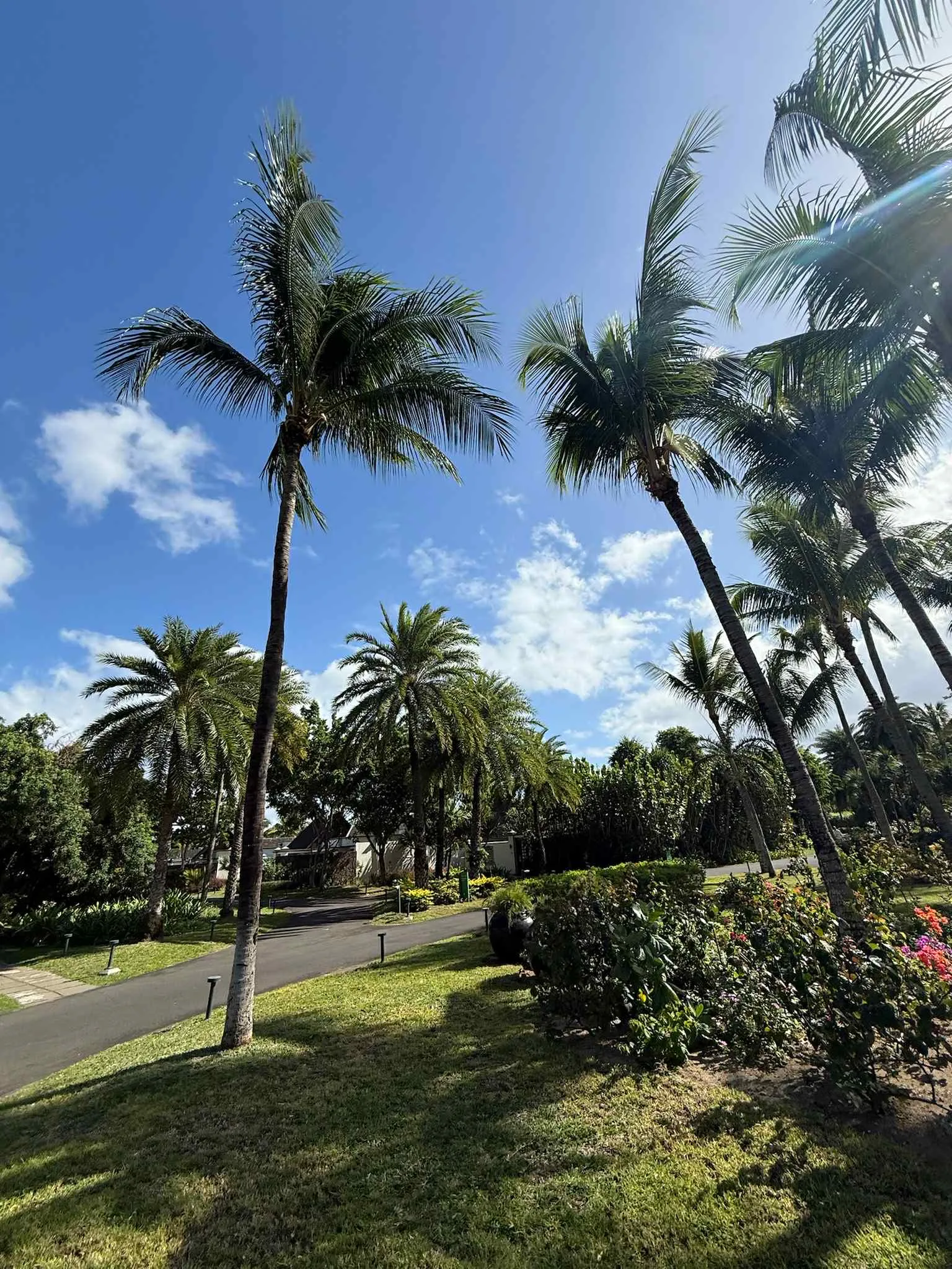 440b0450-c5d6-4a40-998f-3186c7f39295