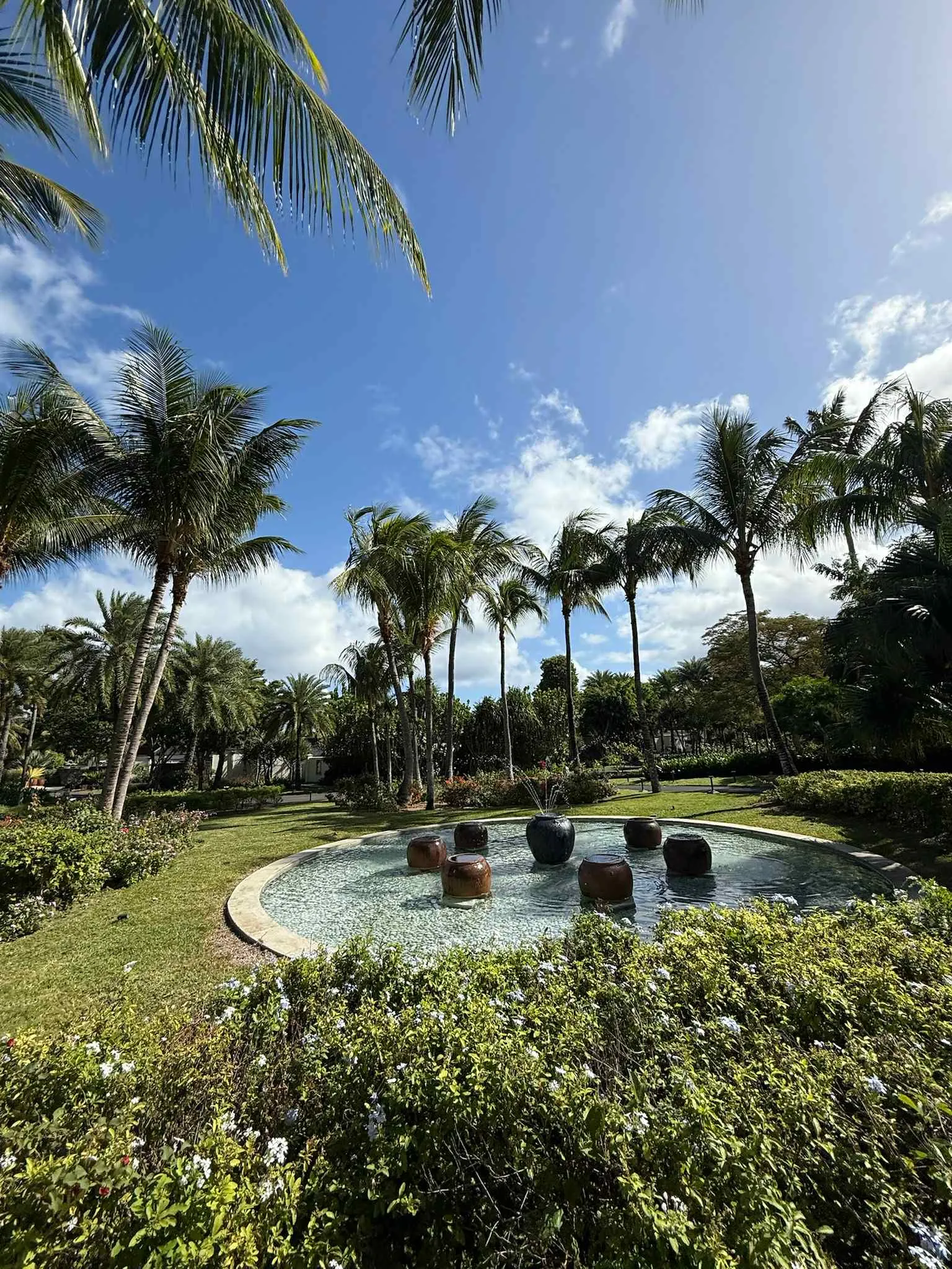 4bfce8a9-4fab-4b6c-a662-b12a21abfa91