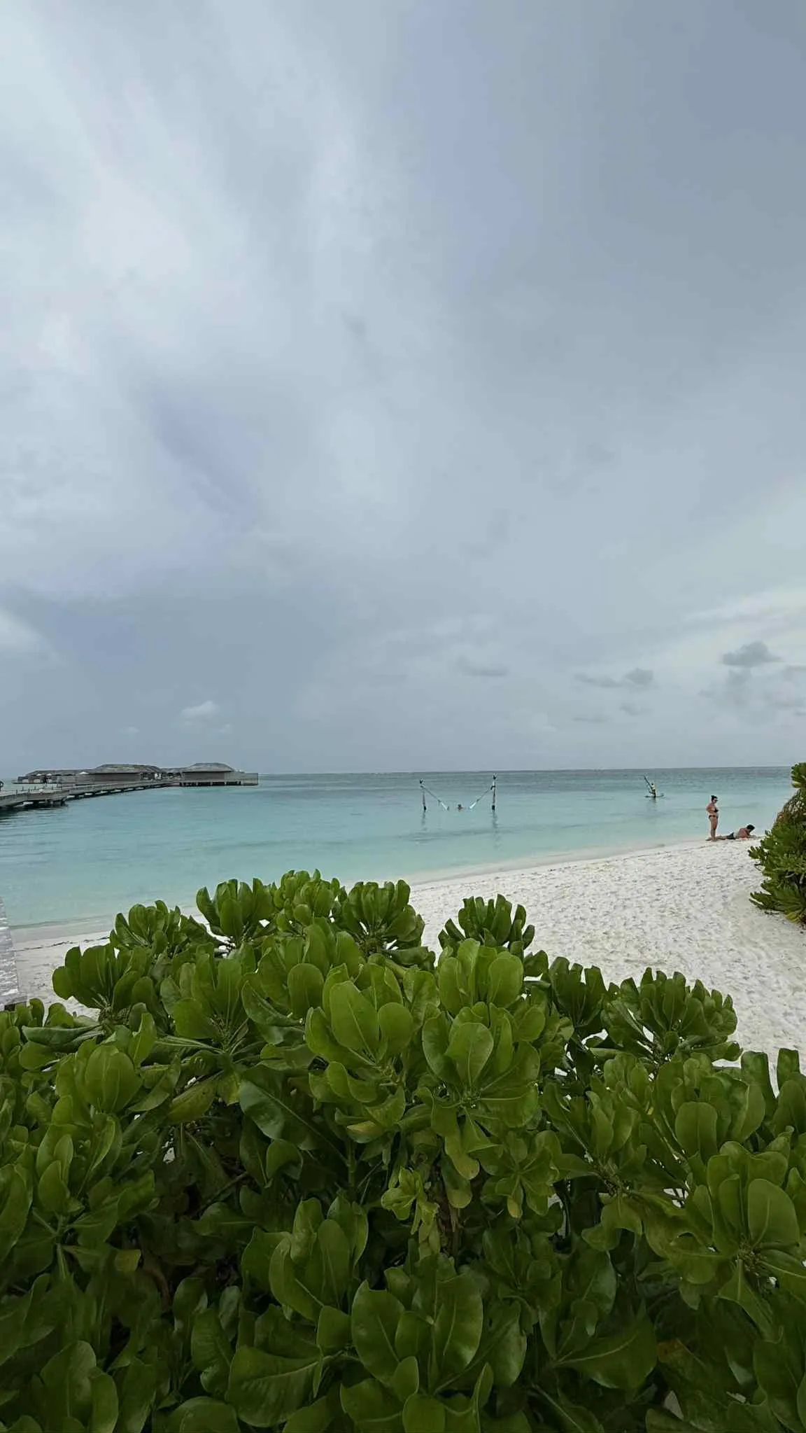 4d9be0aa-086c-4ef1-bf3a-0cad4620265d