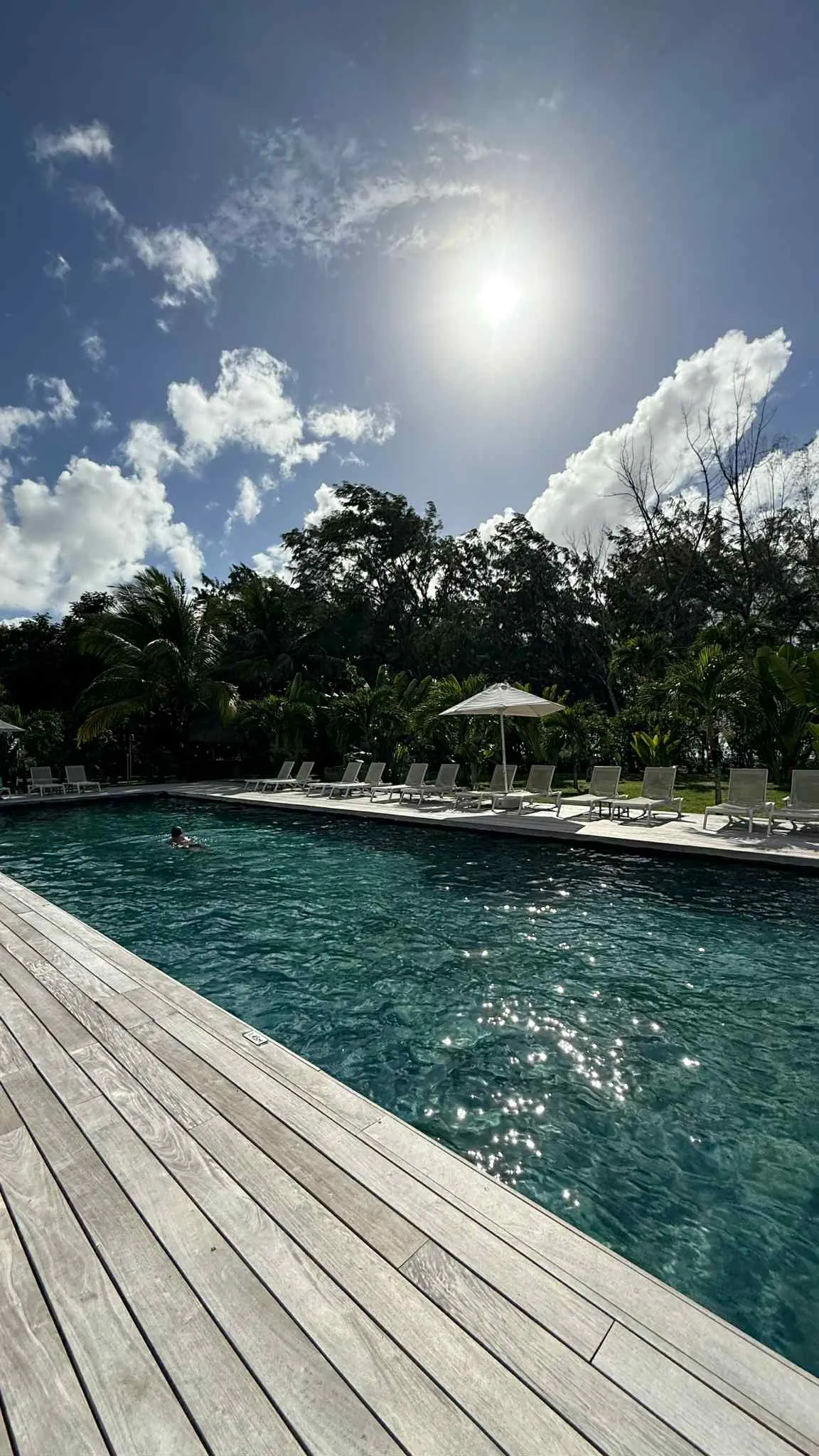 552a8f60-89e5-450f-b593-08d0248c07c6