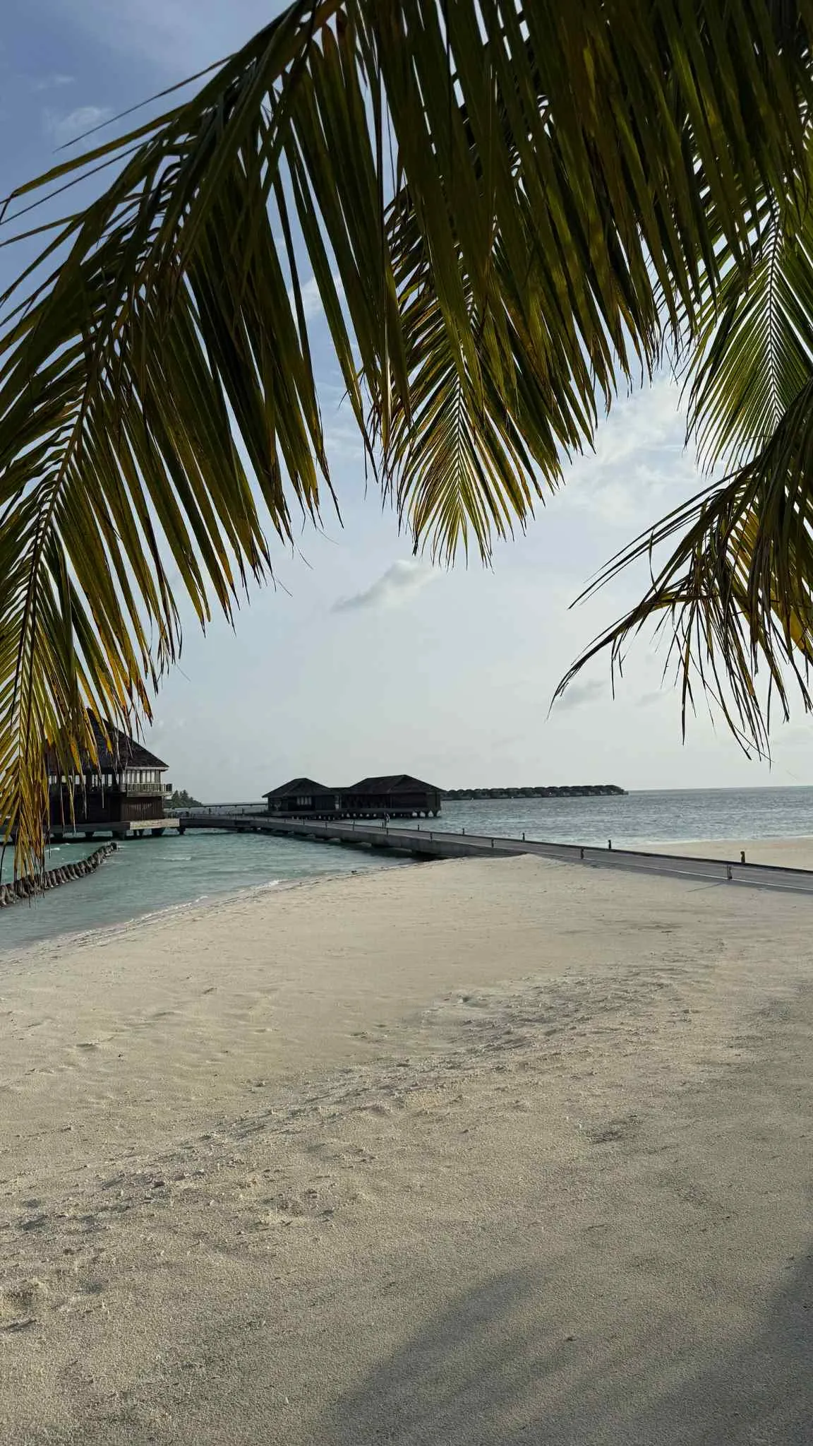 69cf5f54-0e96-4ea6-9b21-67cd12a814ab