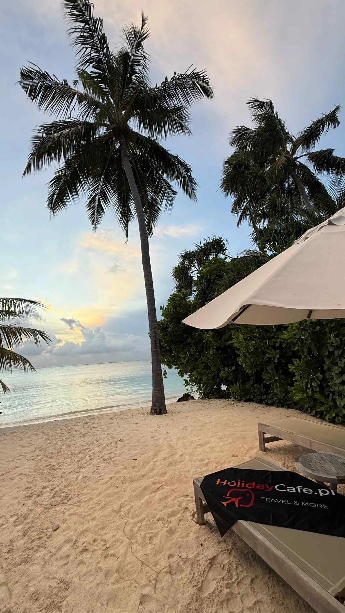 6b37bfb1-a118-4ad3-8326-d7cb5f50a2c7