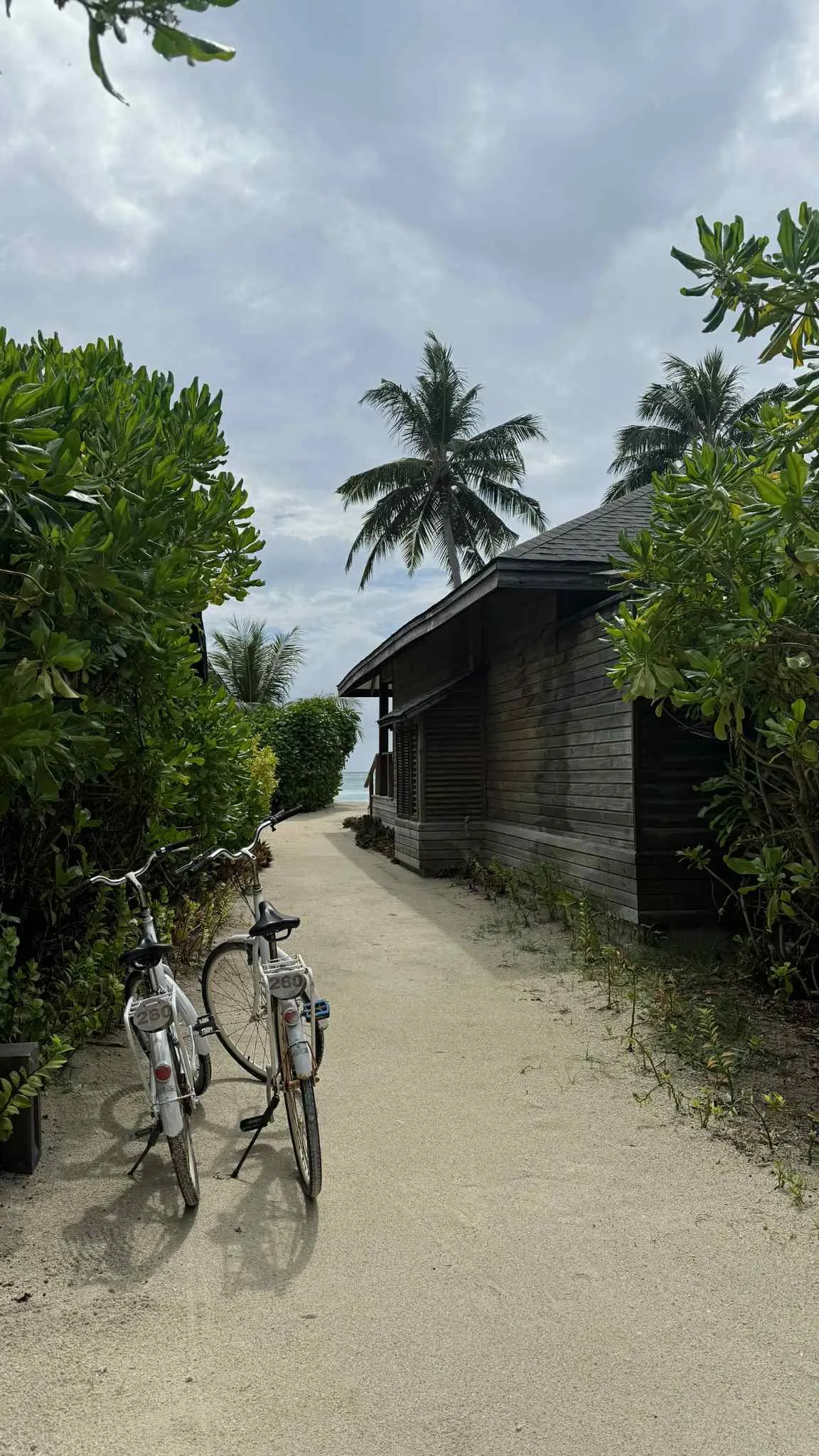 8041192d-5e30-4fee-ae1b-fcfa25685f38