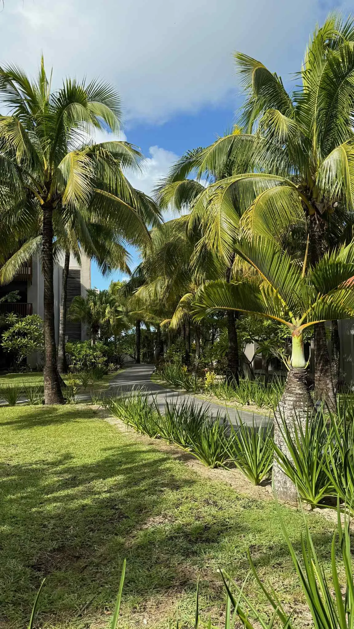 86e78ee9-e596-433c-9d04-f30b3137a255