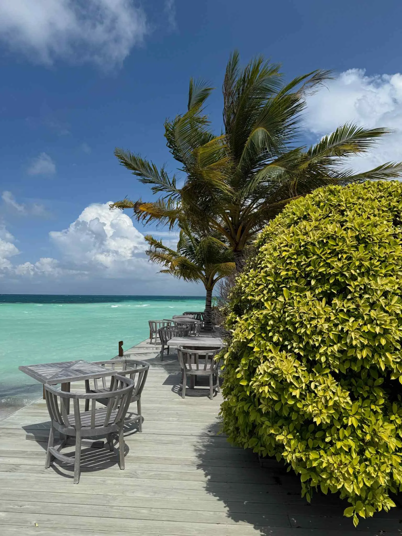 8b95d0de-9ad0-4adb-900f-cb6cd4674349