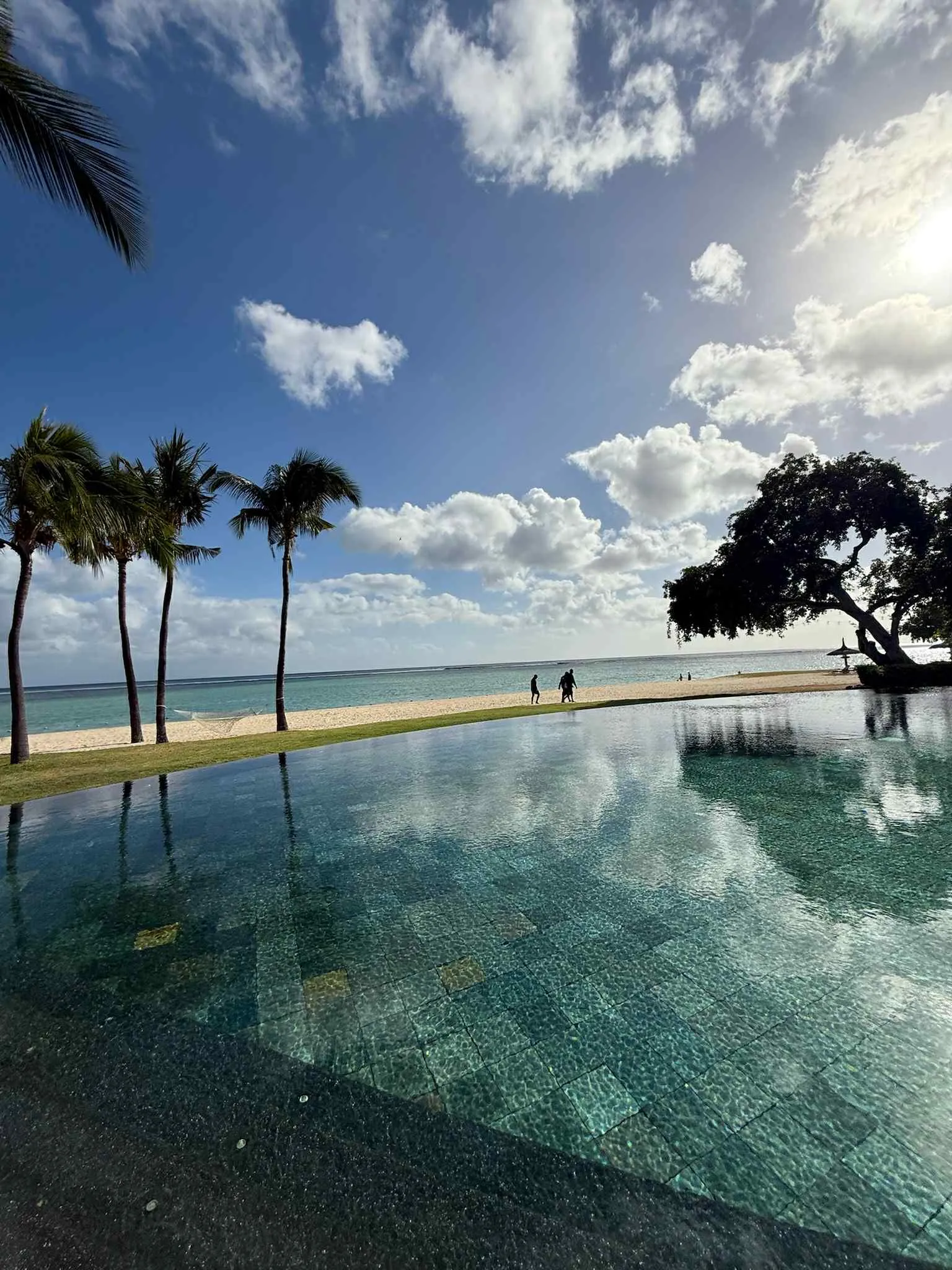 9146af2a-6447-433e-935b-39fd321d280e