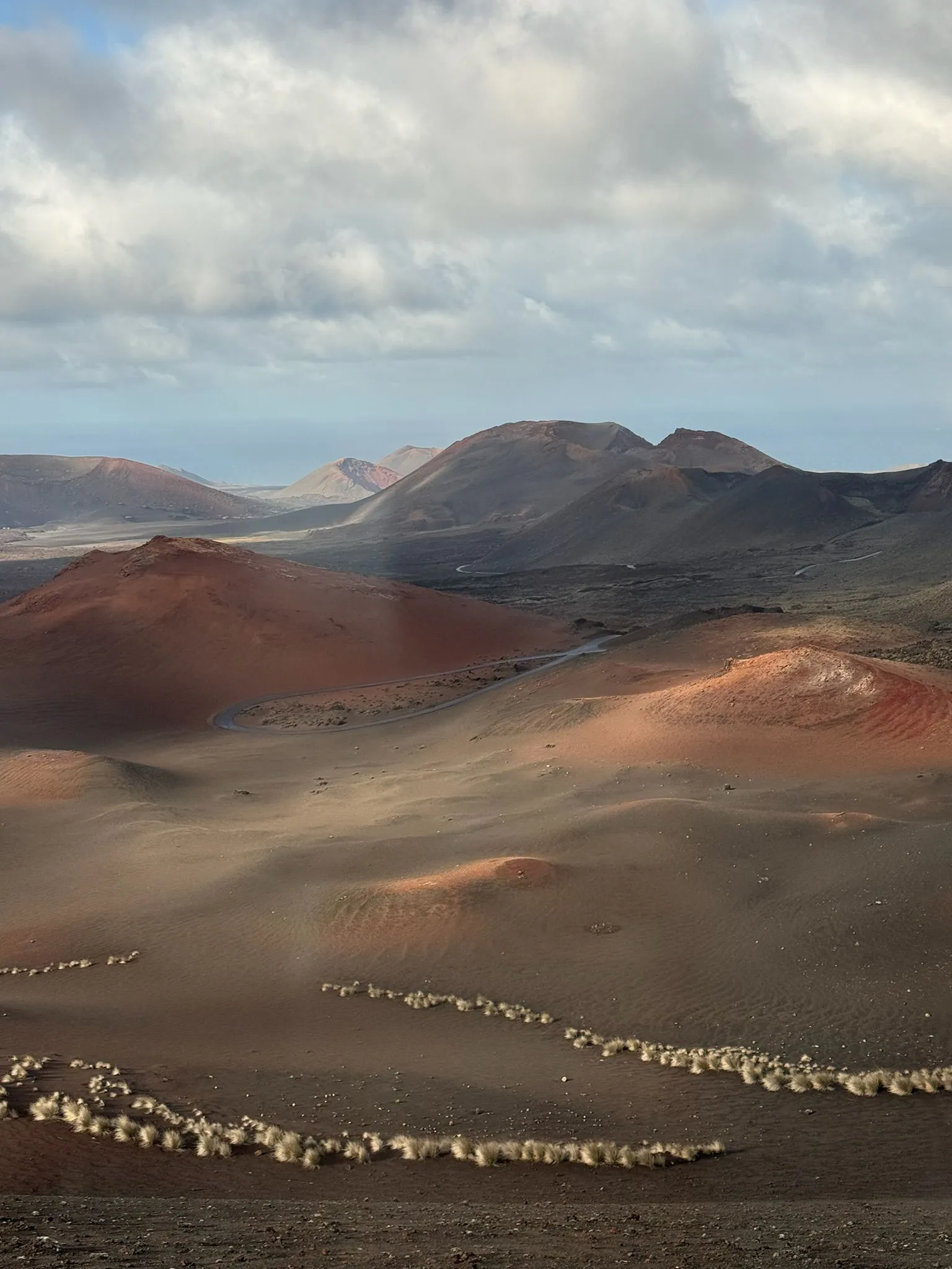 WhatsApp Image 2026-01-18 at 15.03.32