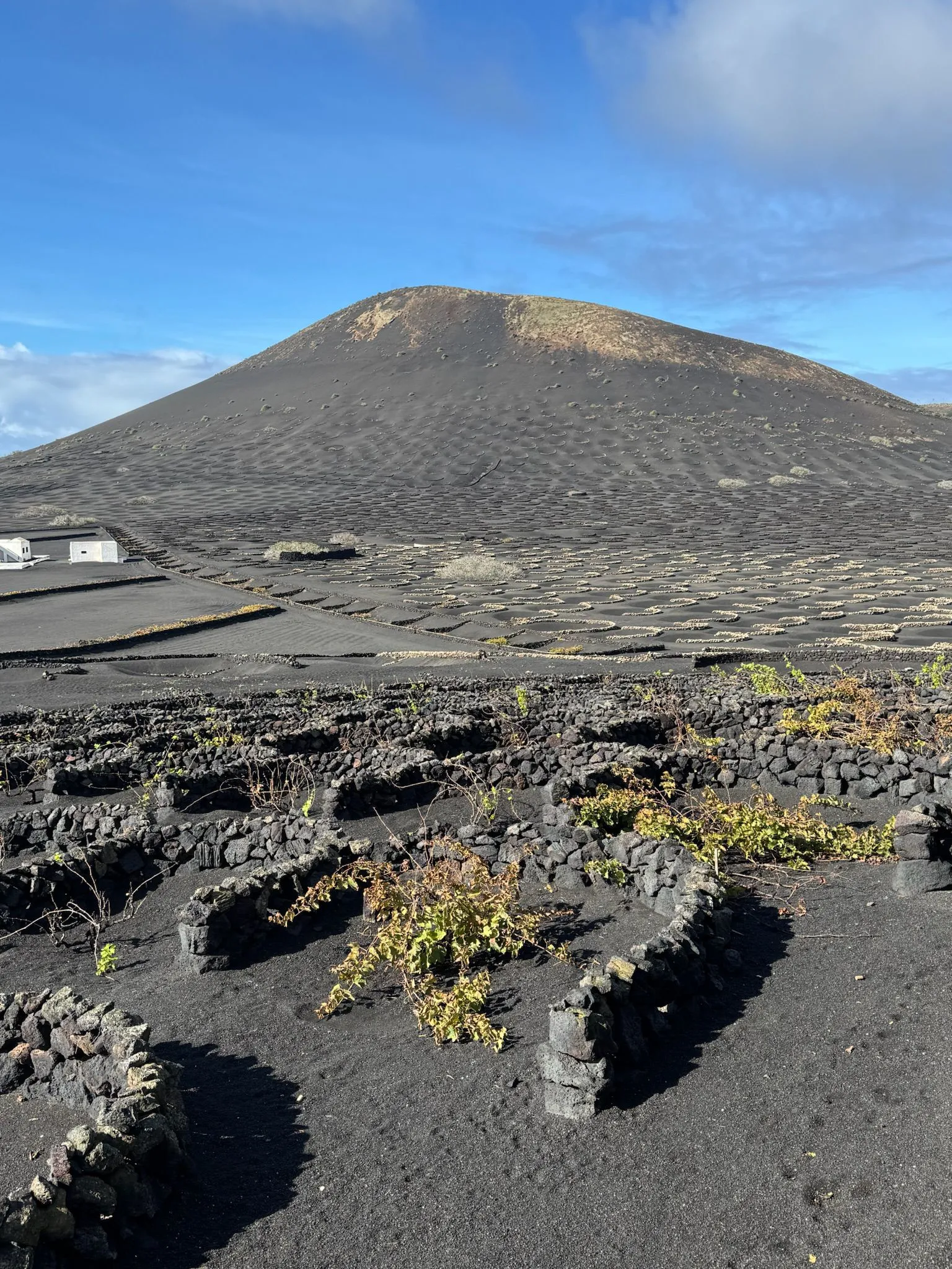 WhatsApp Image 2026-01-18 at 15.03.34