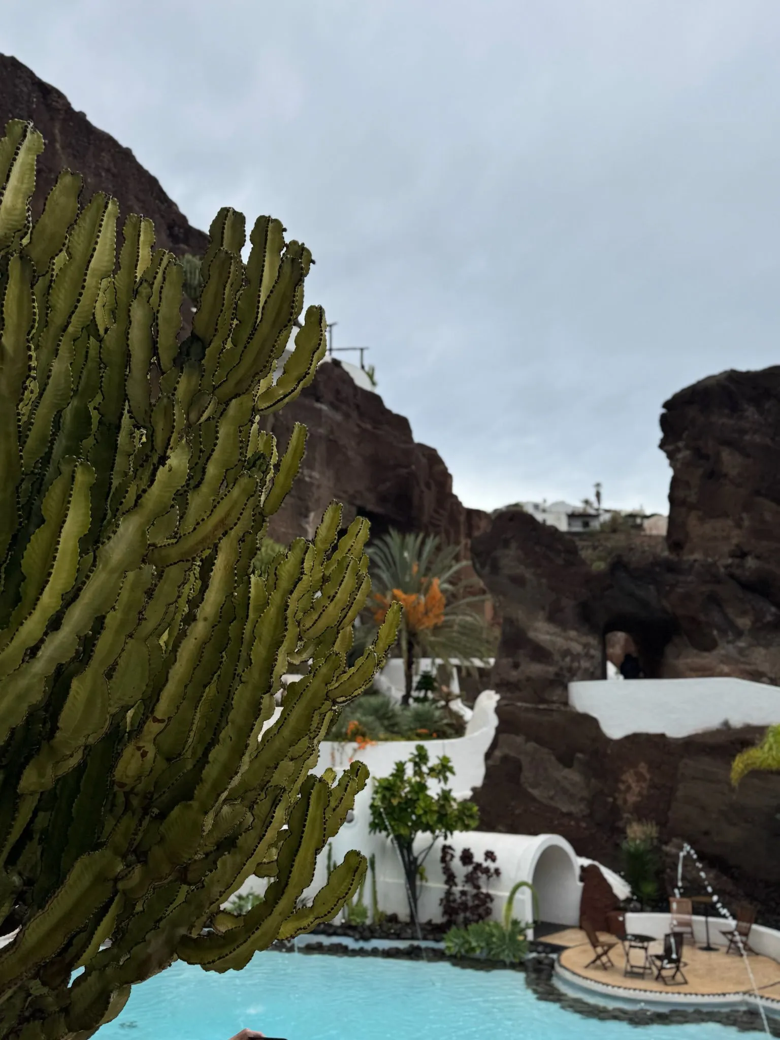 WhatsApp Image 2026-01-18 at 15.05.04 (11)