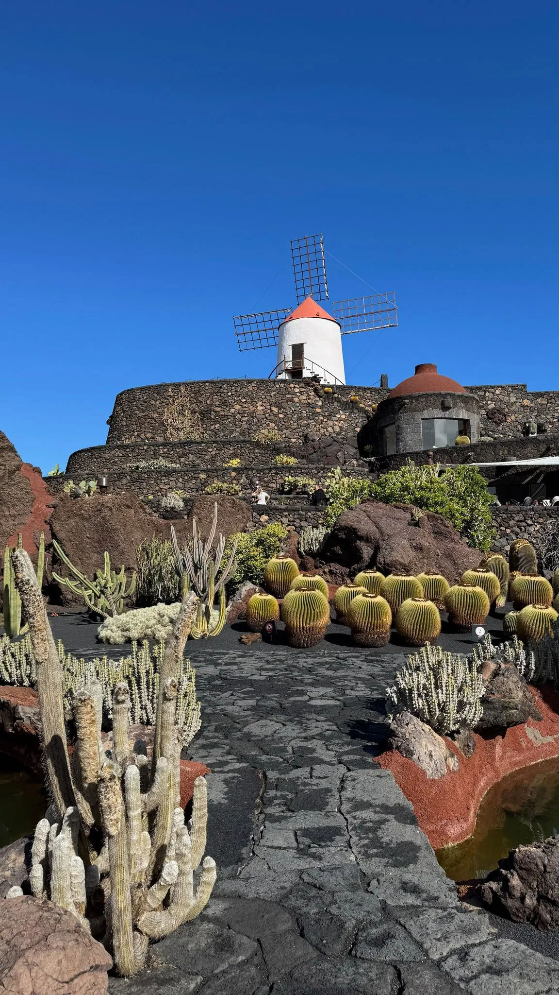 WhatsApp Image 2026-01-18 at 15.05.04 (12)