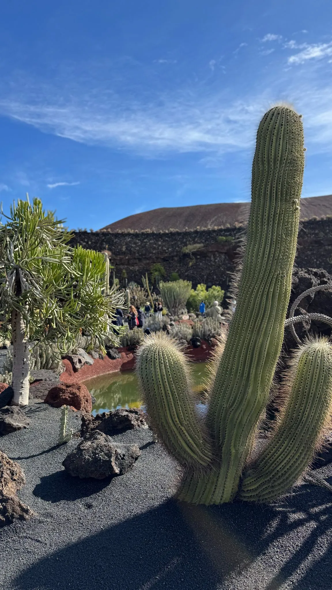 WhatsApp Image 2026-01-18 at 15.05.04 (16)