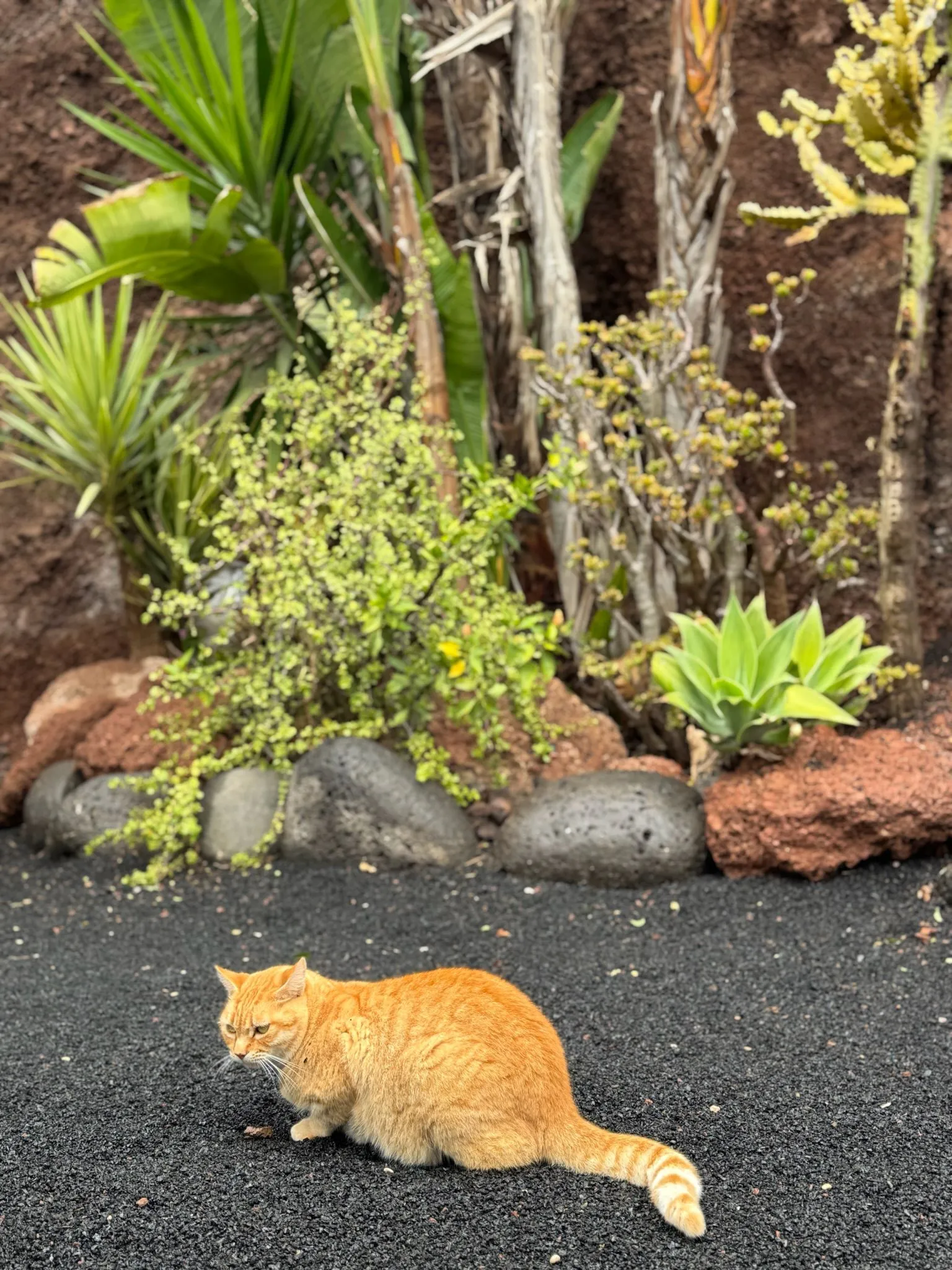 WhatsApp Image 2026-01-18 at 15.05.04 (1)