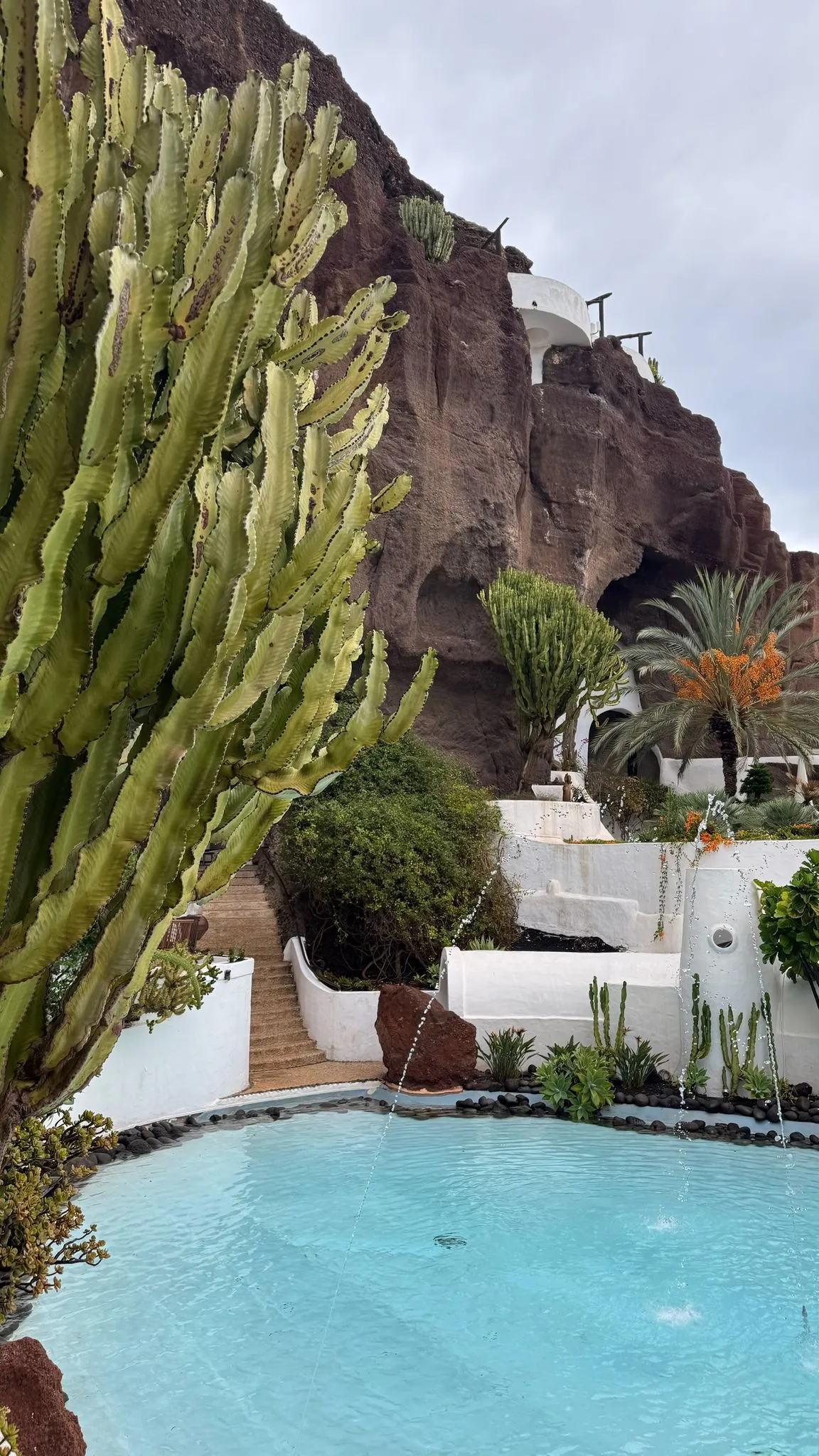 WhatsApp Image 2026-01-18 at 15.05.04 (2)