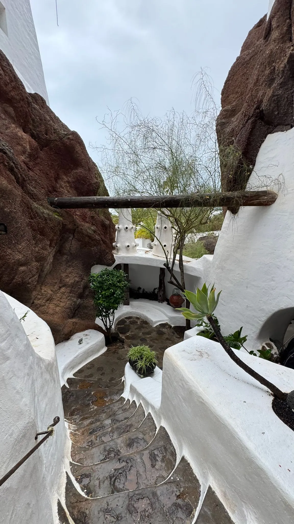 WhatsApp Image 2026-01-18 at 15.05.04 (3)