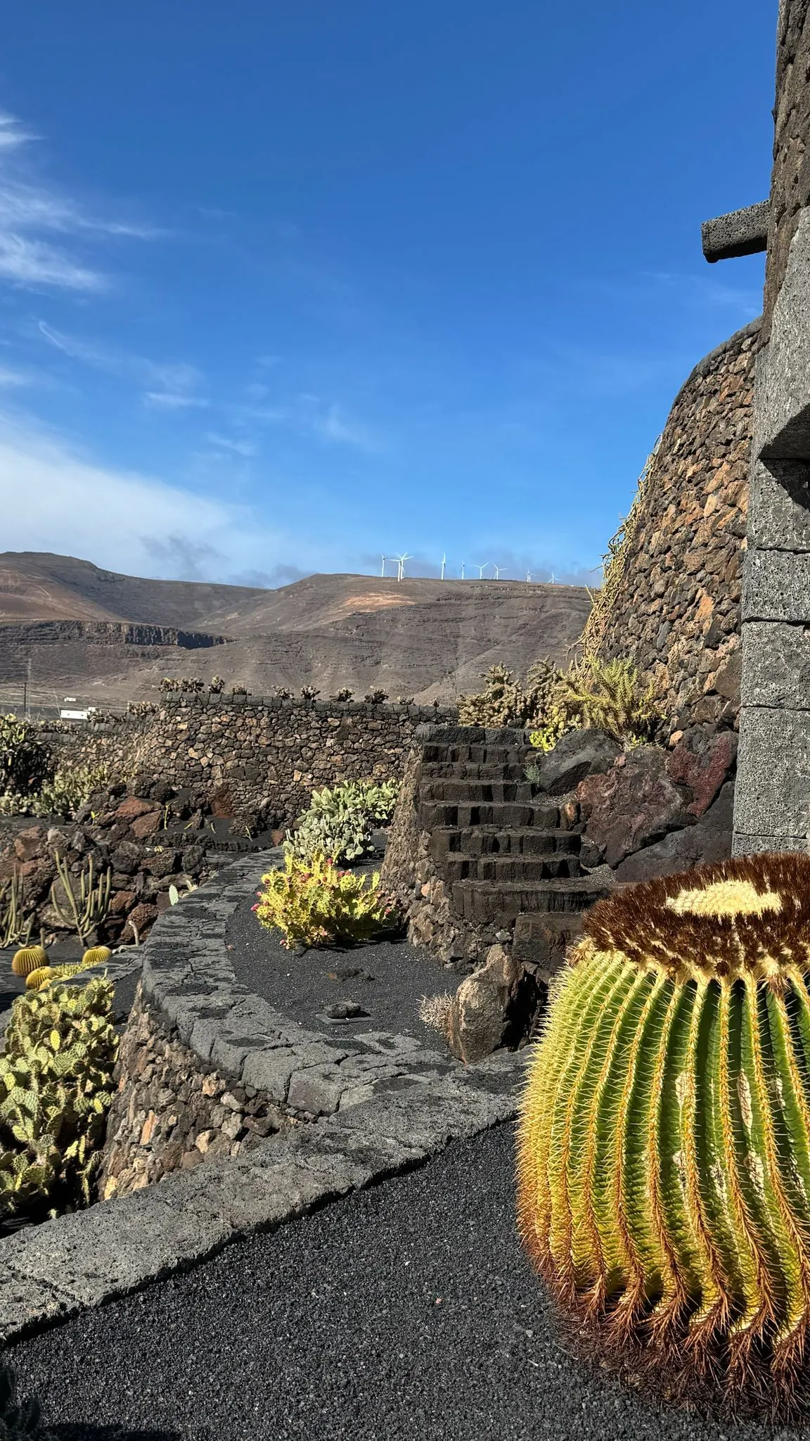 WhatsApp Image 2026-01-18 at 15.05.04 (6)