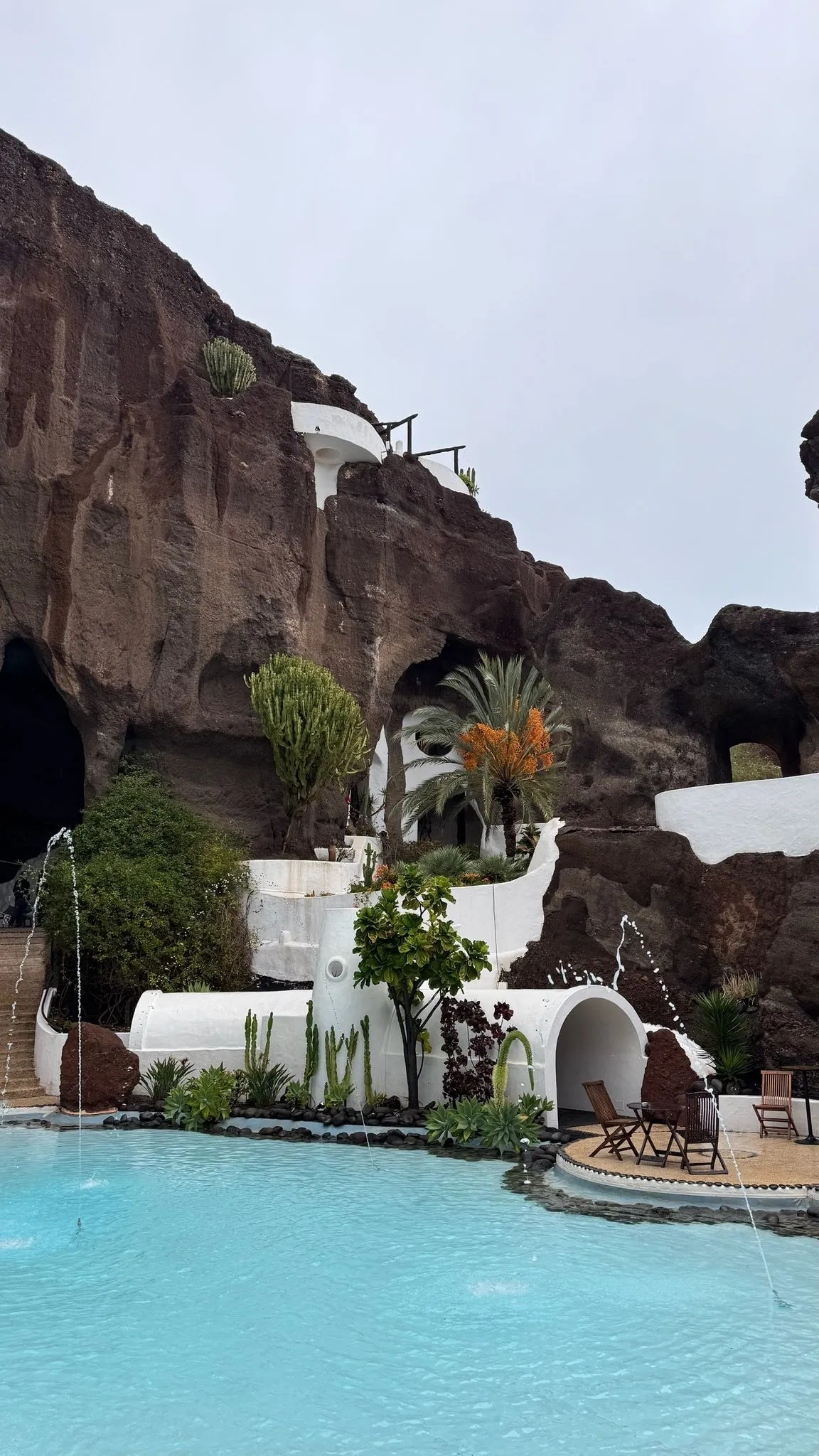 WhatsApp Image 2026-01-18 at 15.05.04 (8)