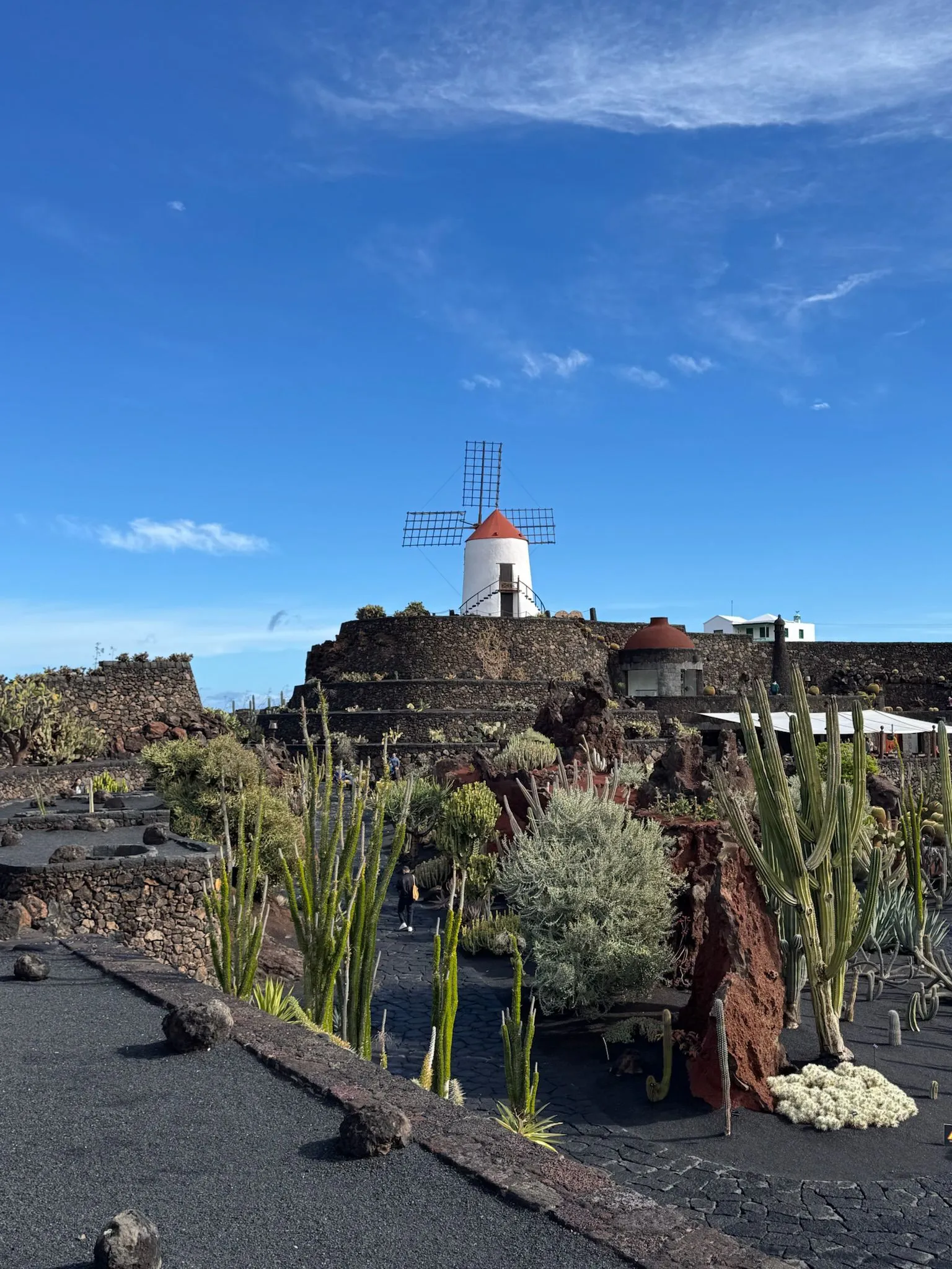 WhatsApp Image 2026-01-18 at 15.05.05 (1)