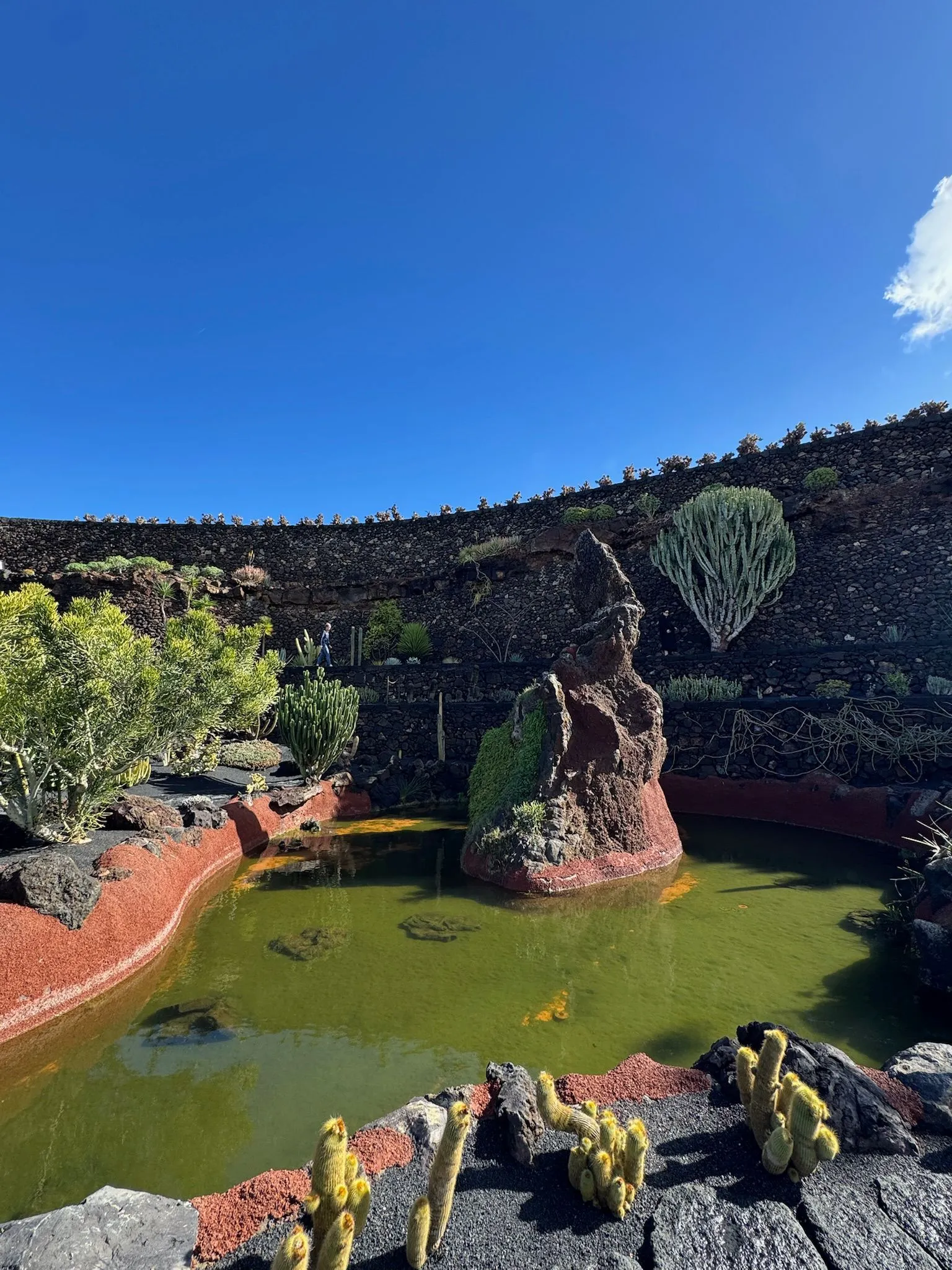 WhatsApp Image 2026-01-18 at 15.05.05 (2)