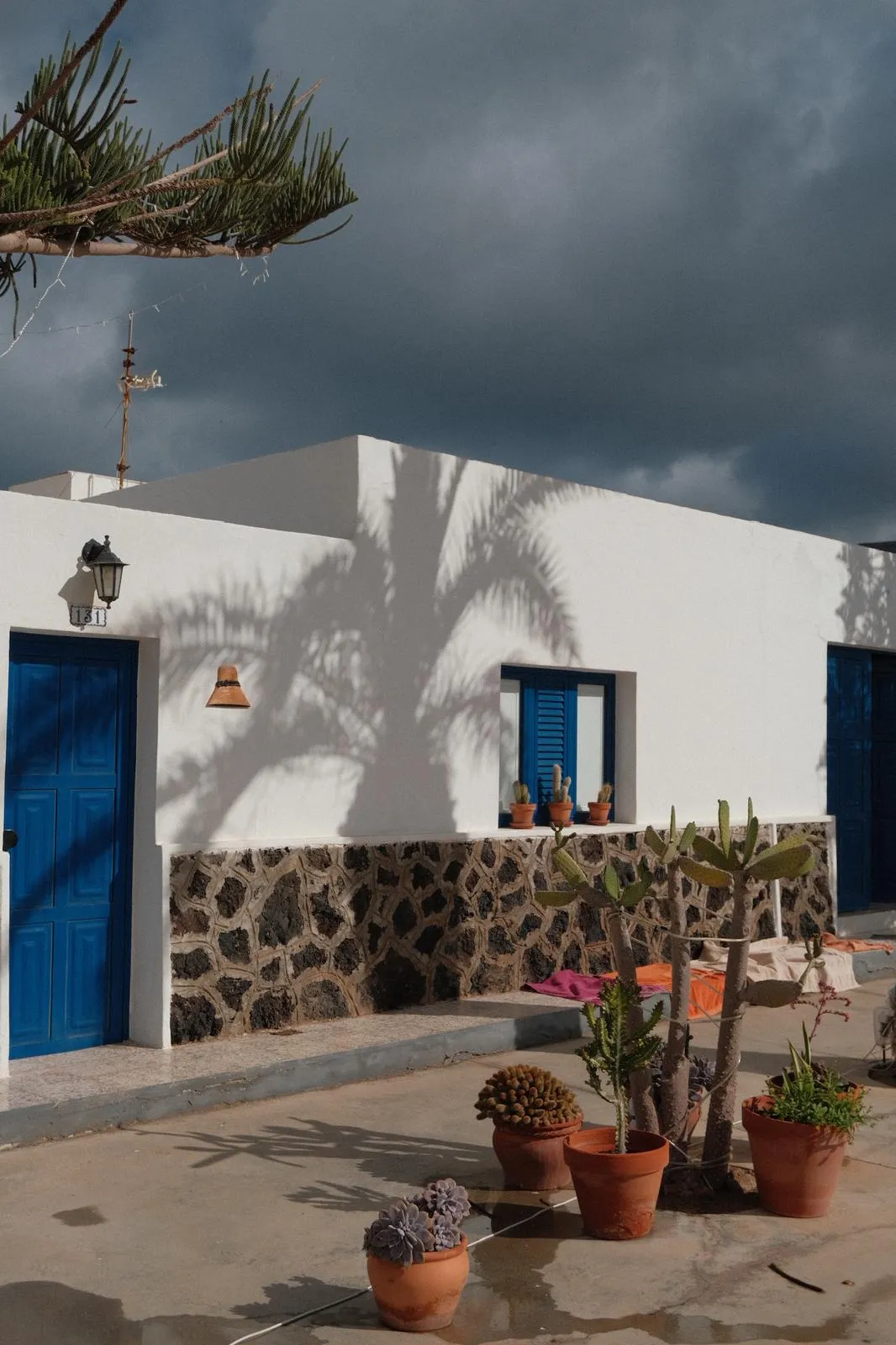 WhatsApp Image 2026-01-18 at 15.05.05 (6)