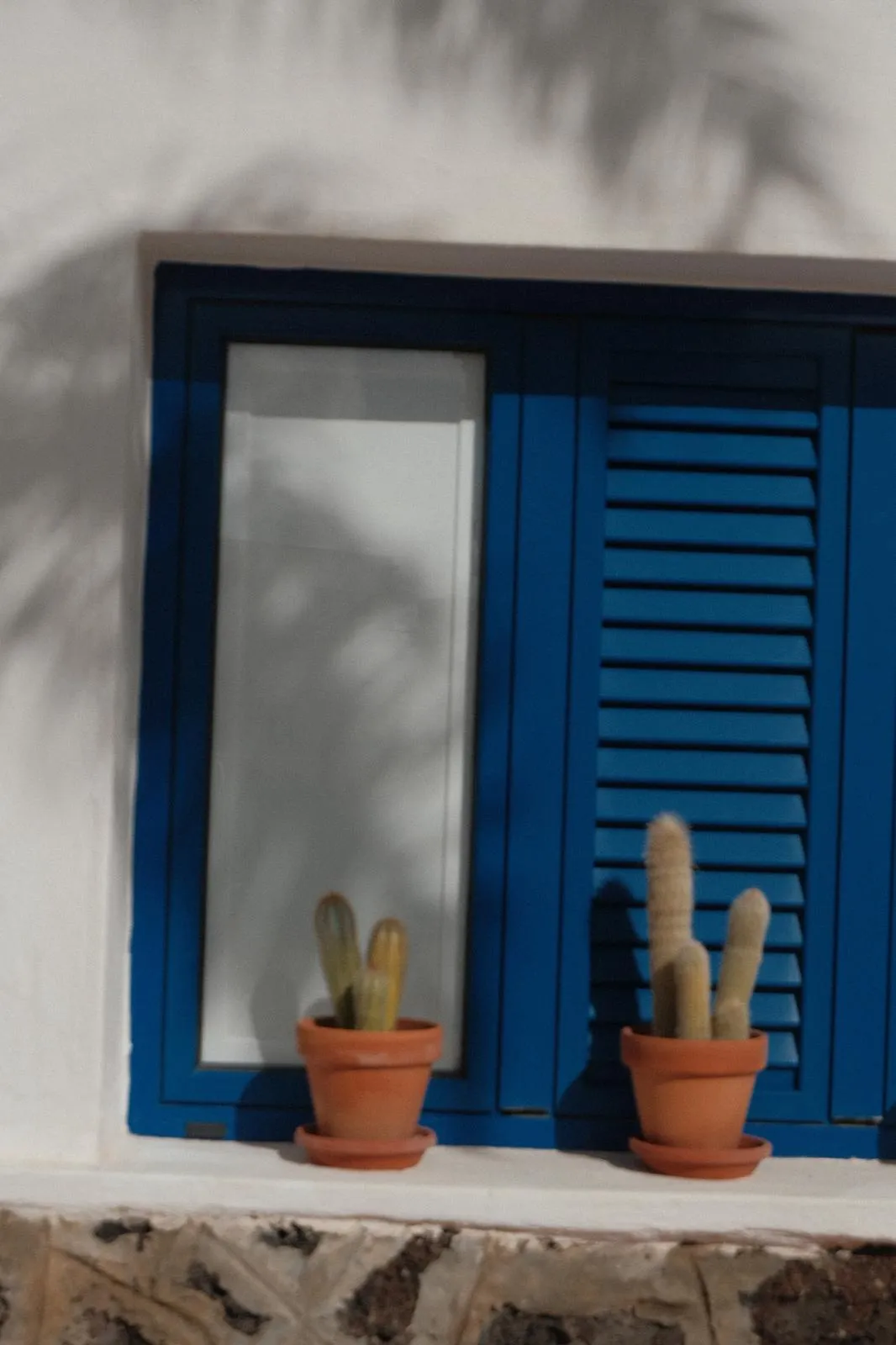 WhatsApp Image 2026-01-18 at 15.05.06 (1)