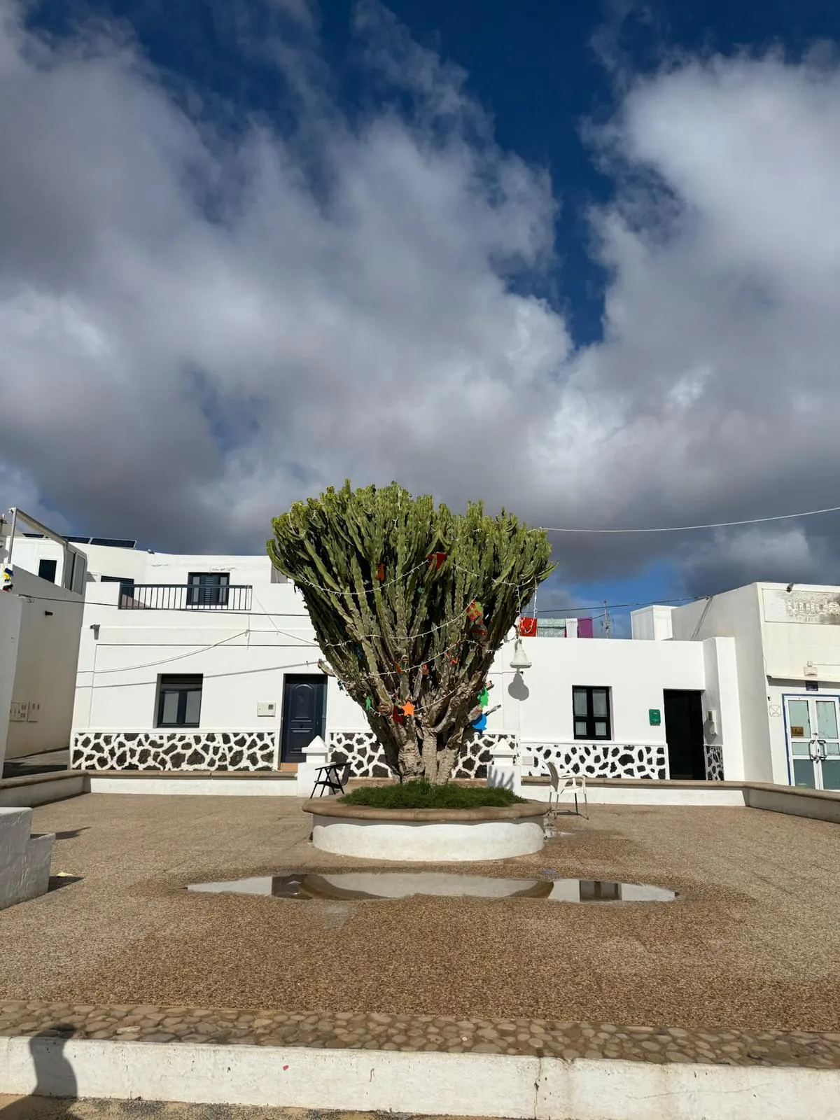 WhatsApp Image 2026-01-18 at 15.05.06 (5)