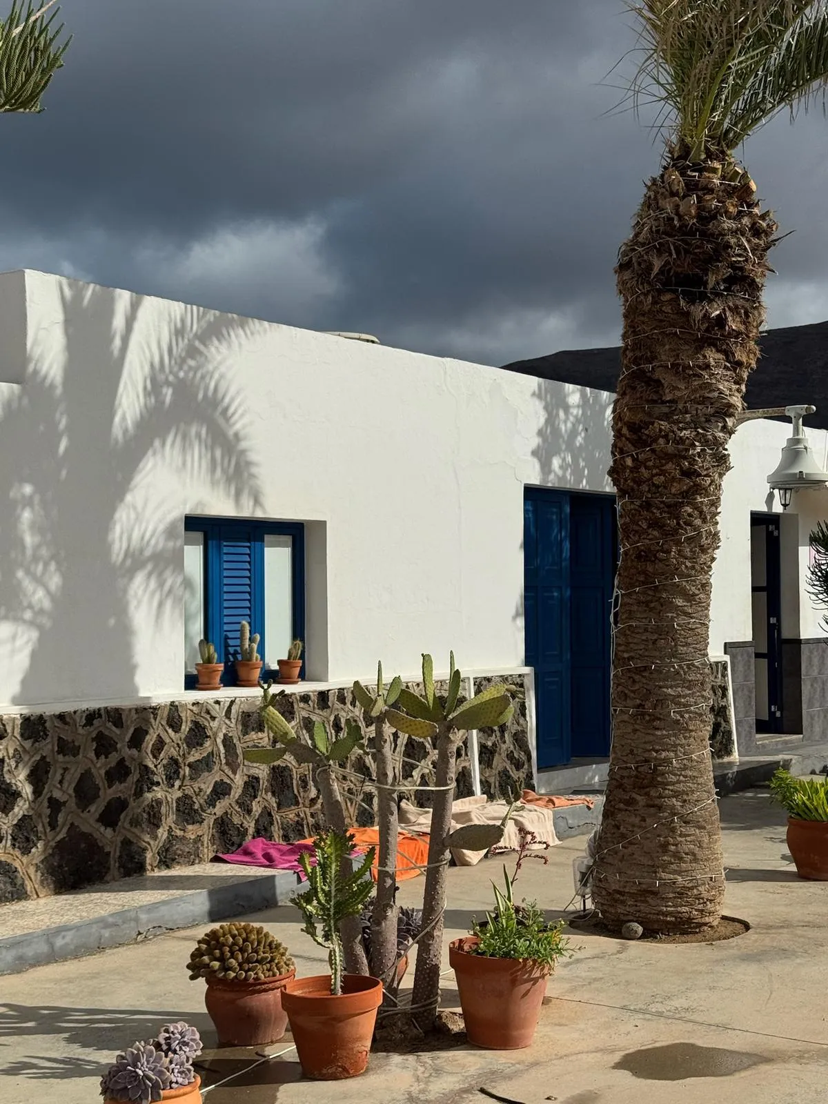 WhatsApp Image 2026-01-18 at 15.05.06 (7)