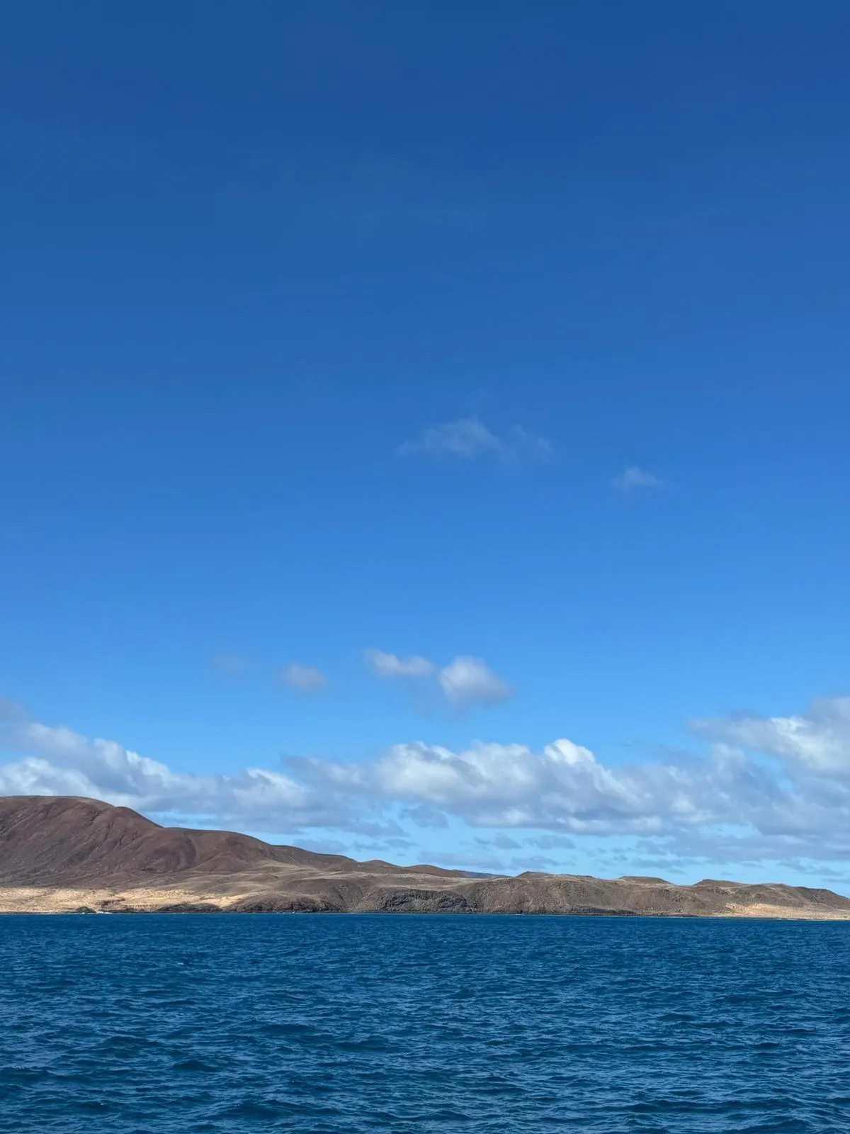 WhatsApp Image 2026-01-18 at 15.05.07 (3)