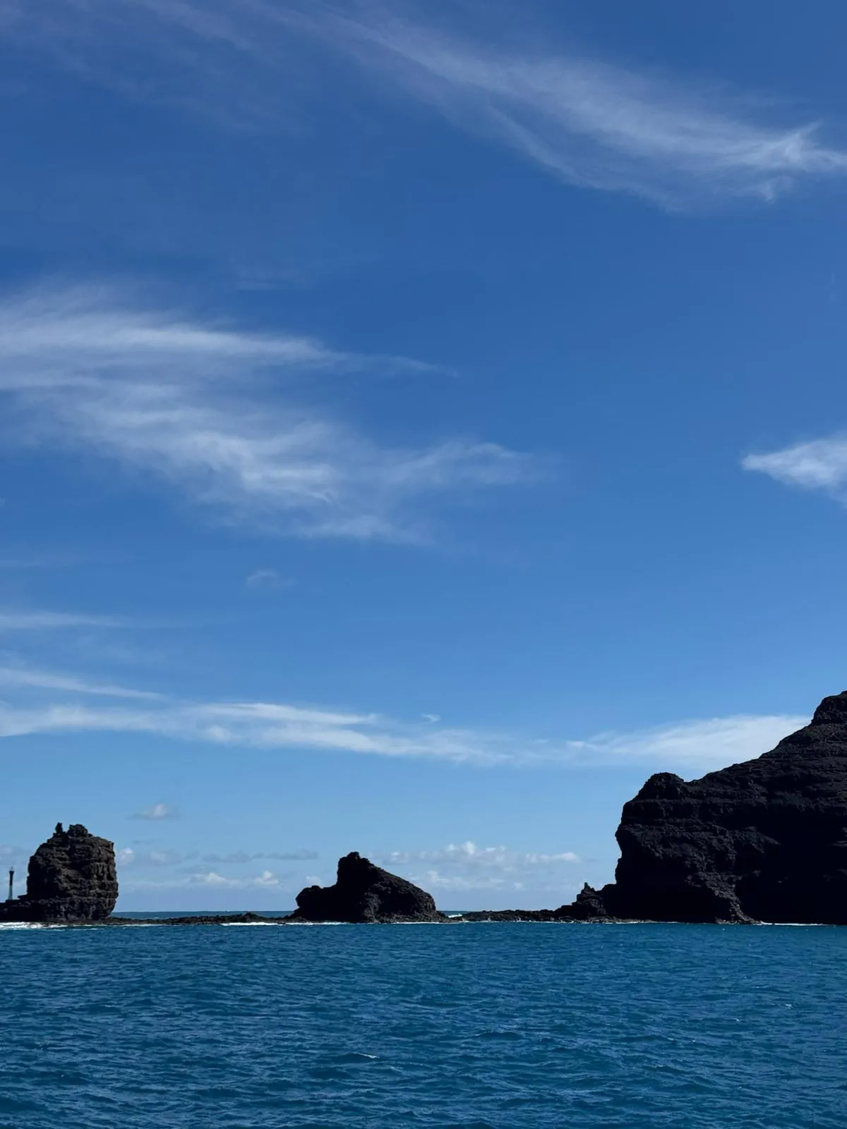 WhatsApp Image 2026-01-18 at 15.05.07 (5)