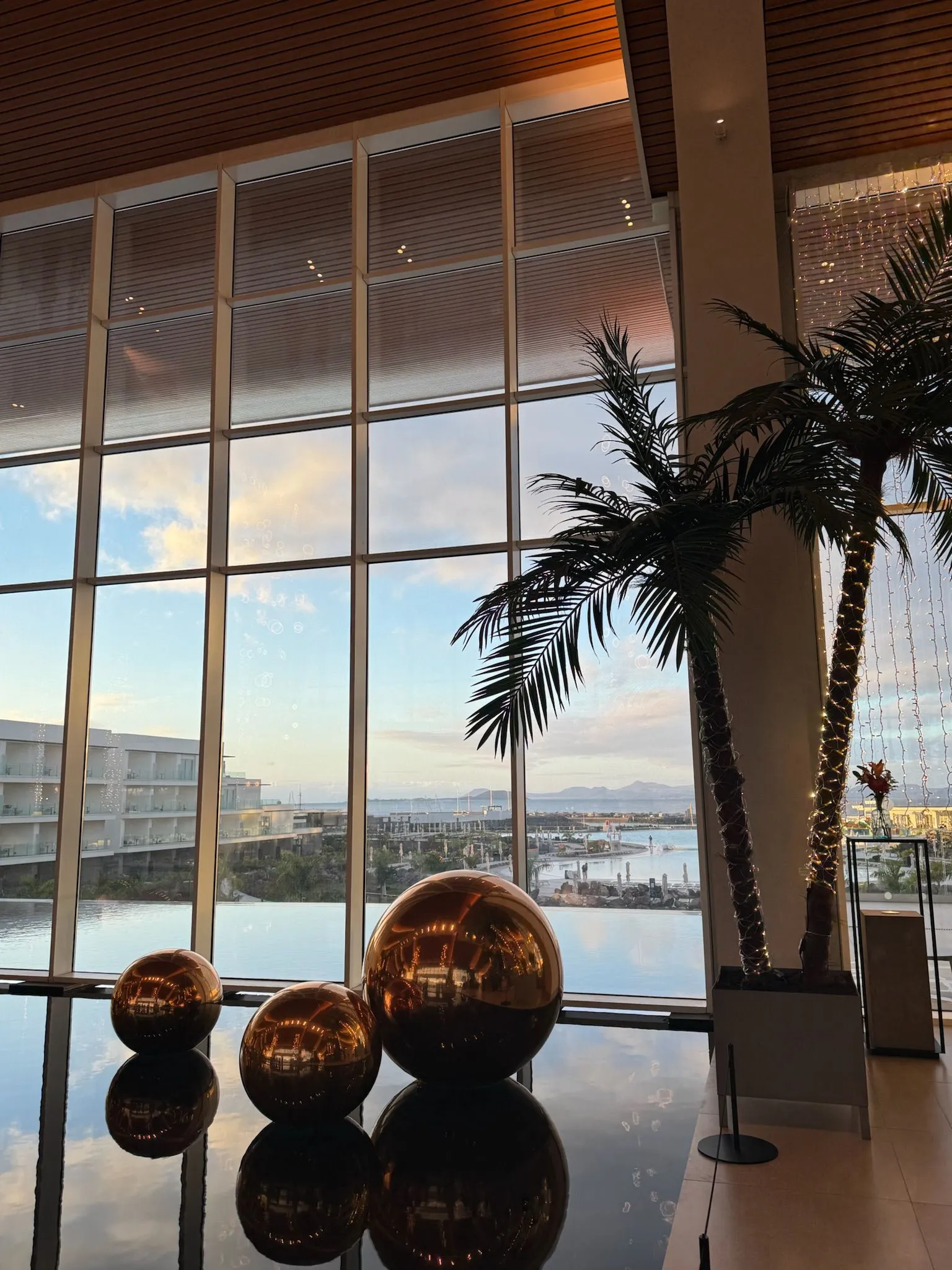 WhatsApp Image 2026-01-25 at 16.53.25 (1)