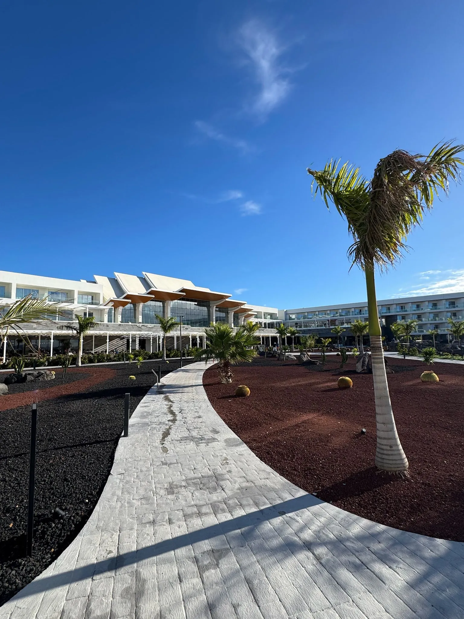 WhatsApp Image 2026-01-25 at 16.53.25 (2)