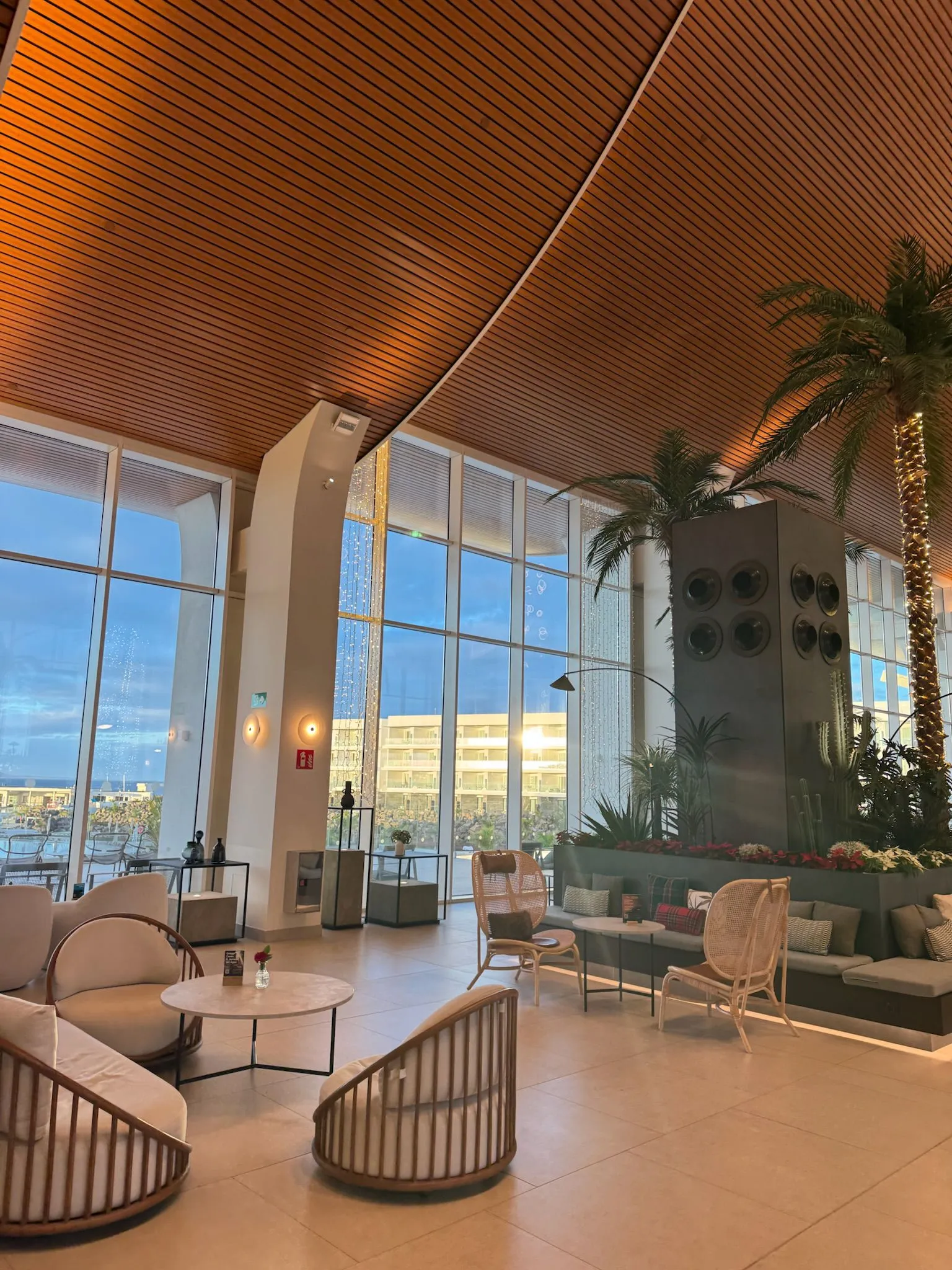 WhatsApp Image 2026-01-25 at 16.53.25