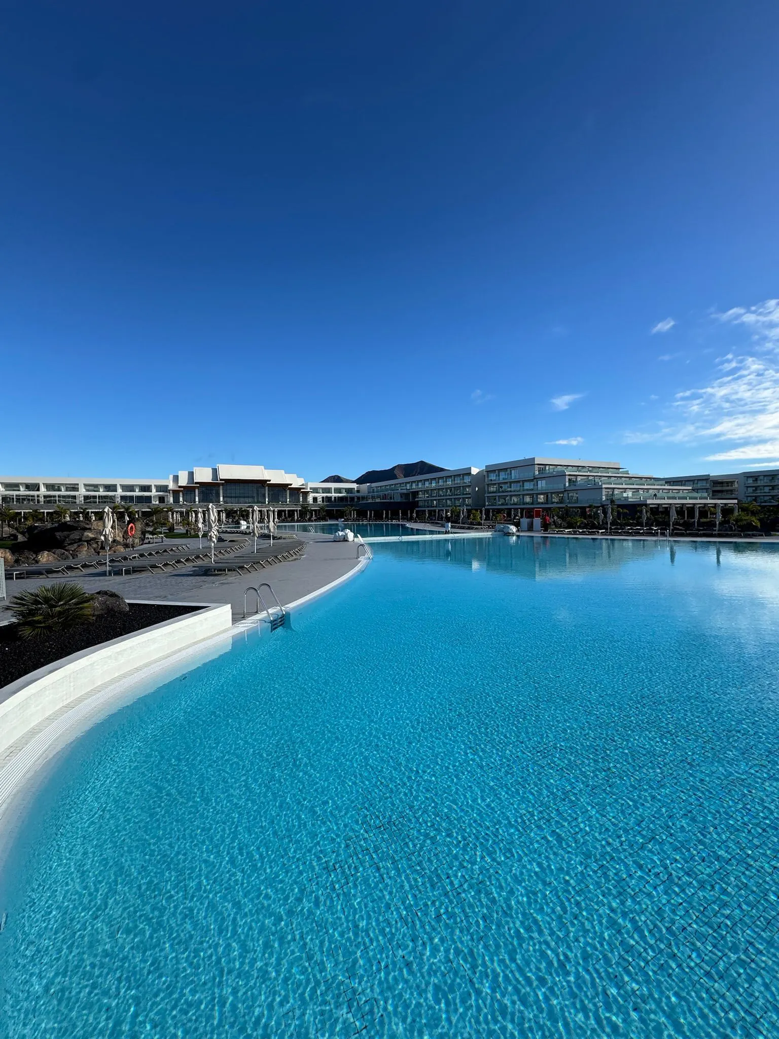 WhatsApp Image 2026-01-25 at 16.53.26 (1)