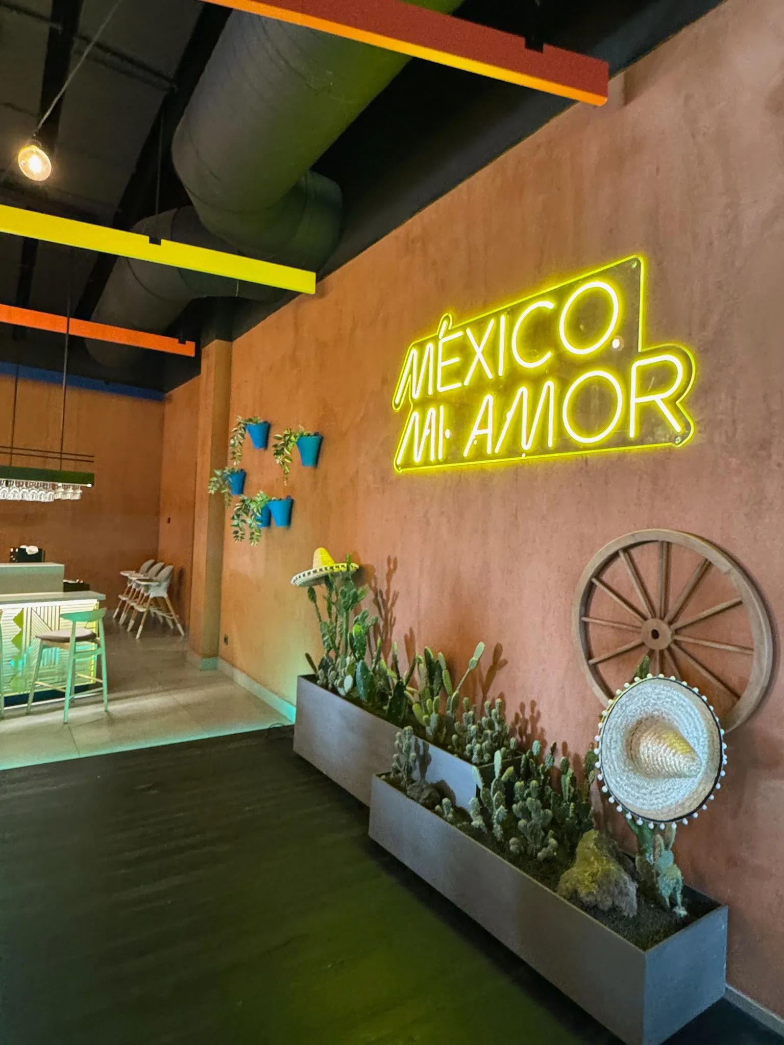 WhatsApp Image 2026-01-25 at 16.53.30