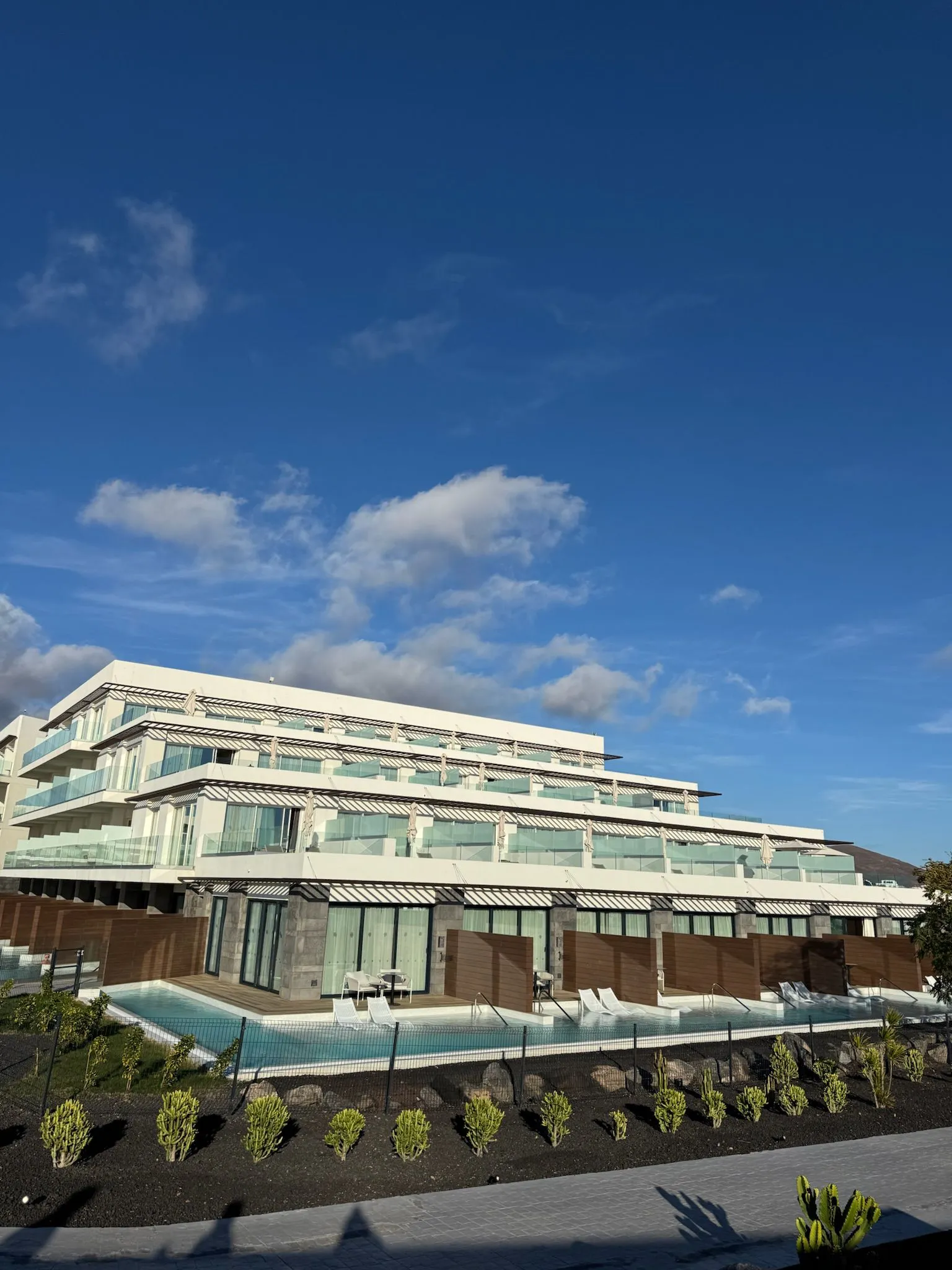 WhatsApp Image 2026-01-25 at 16.53.32