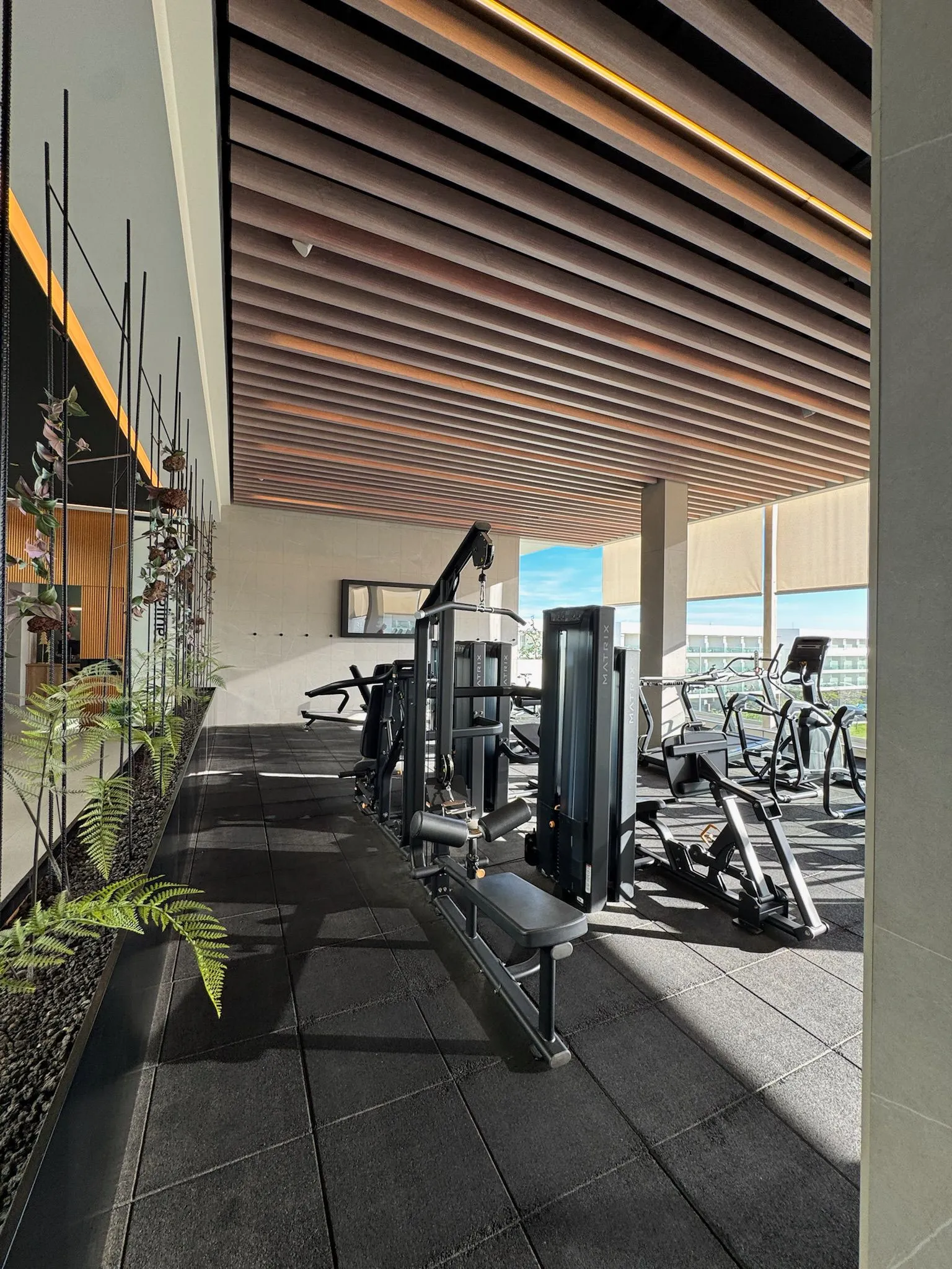 WhatsApp Image 2026-01-25 at 16.53.48