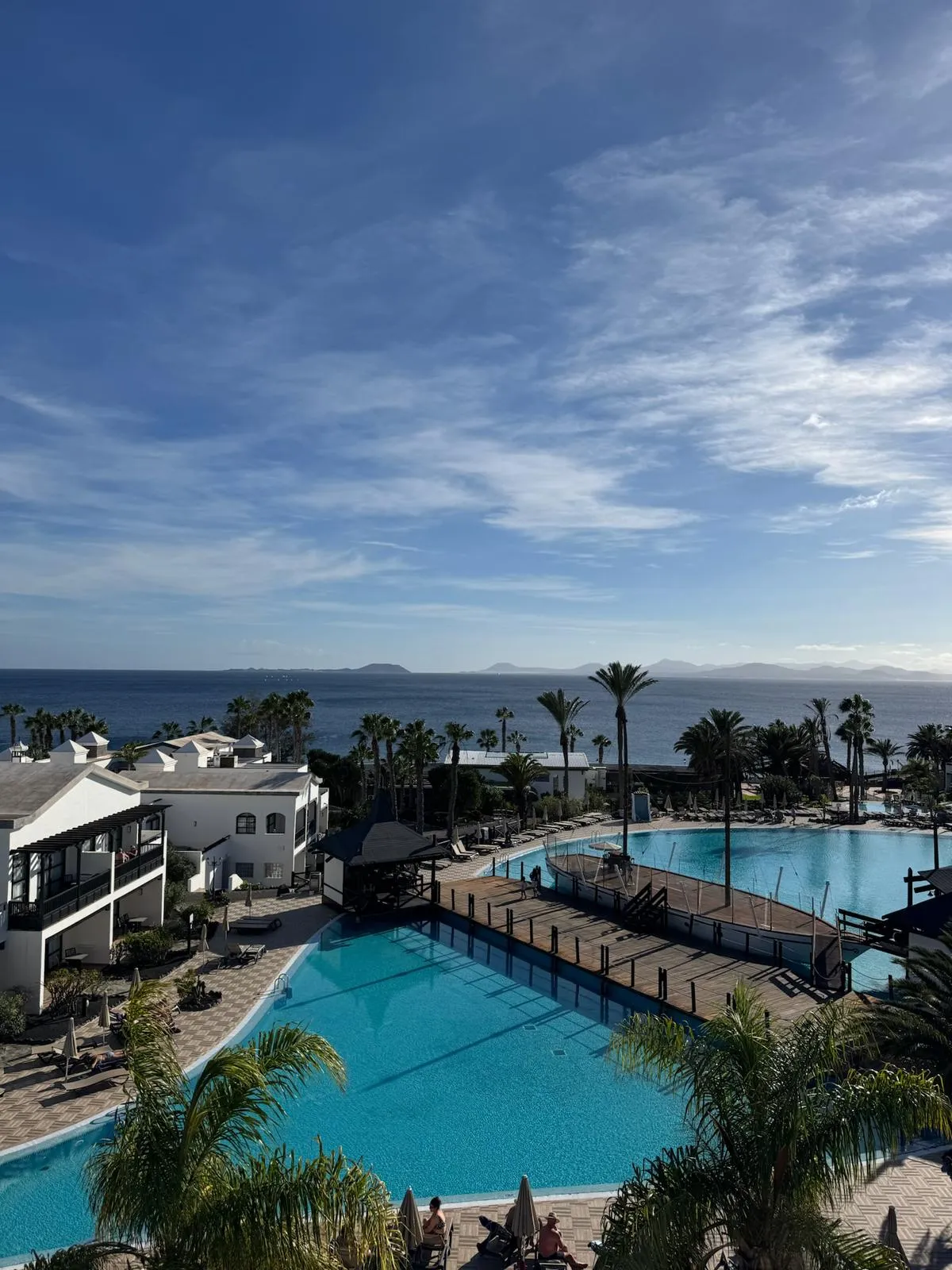 WhatsApp Image 2026-01-25 at 19.46.29