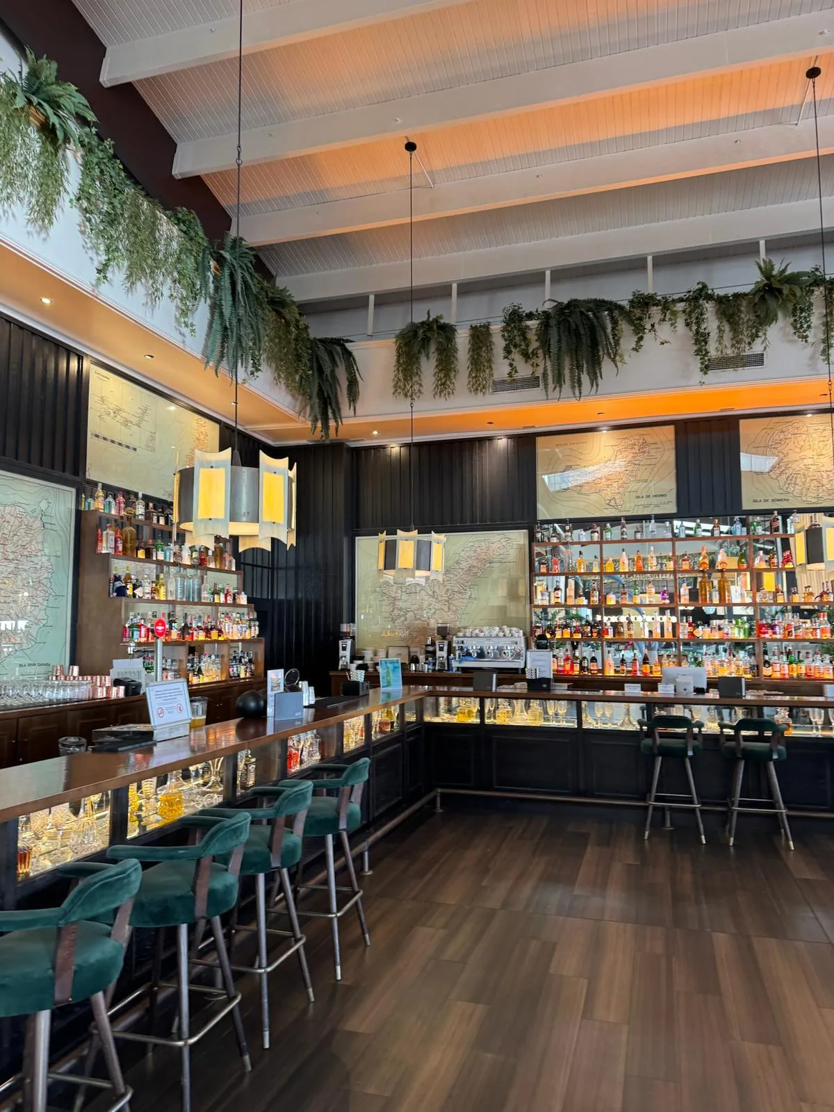 WhatsApp Image 2026-01-25 at 19.46.57 (4)