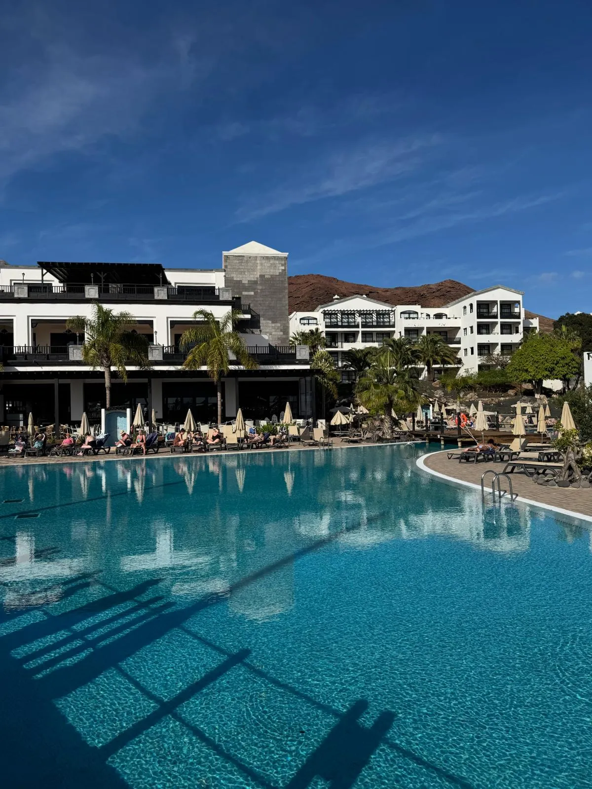 WhatsApp Image 2026-01-25 at 19.46.58