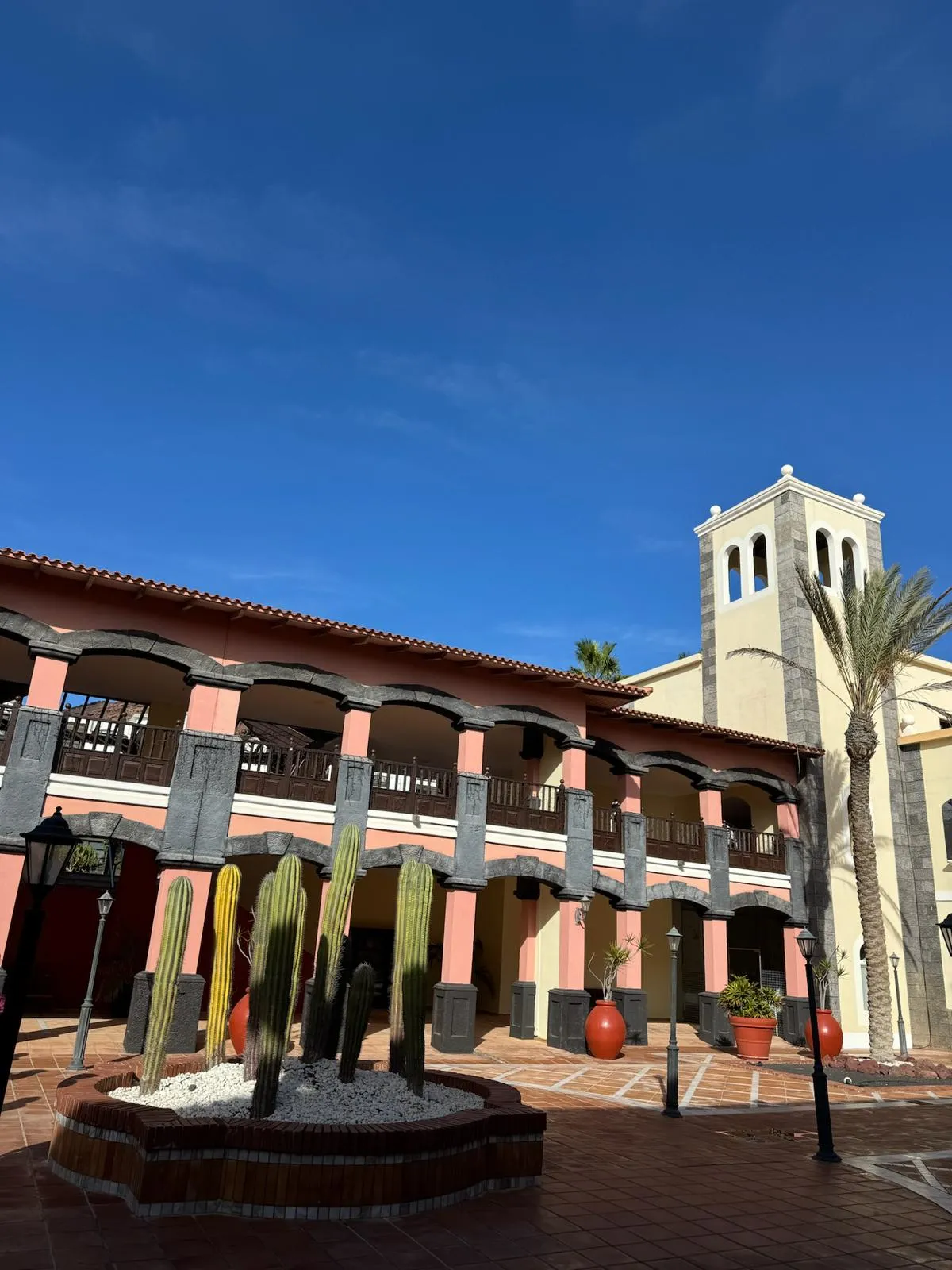 WhatsApp Image 2026-01-25 at 19.46.59 (1)