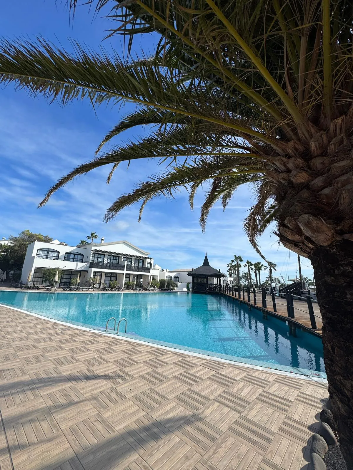 WhatsApp Image 2026-01-25 at 19.46.59 (5)