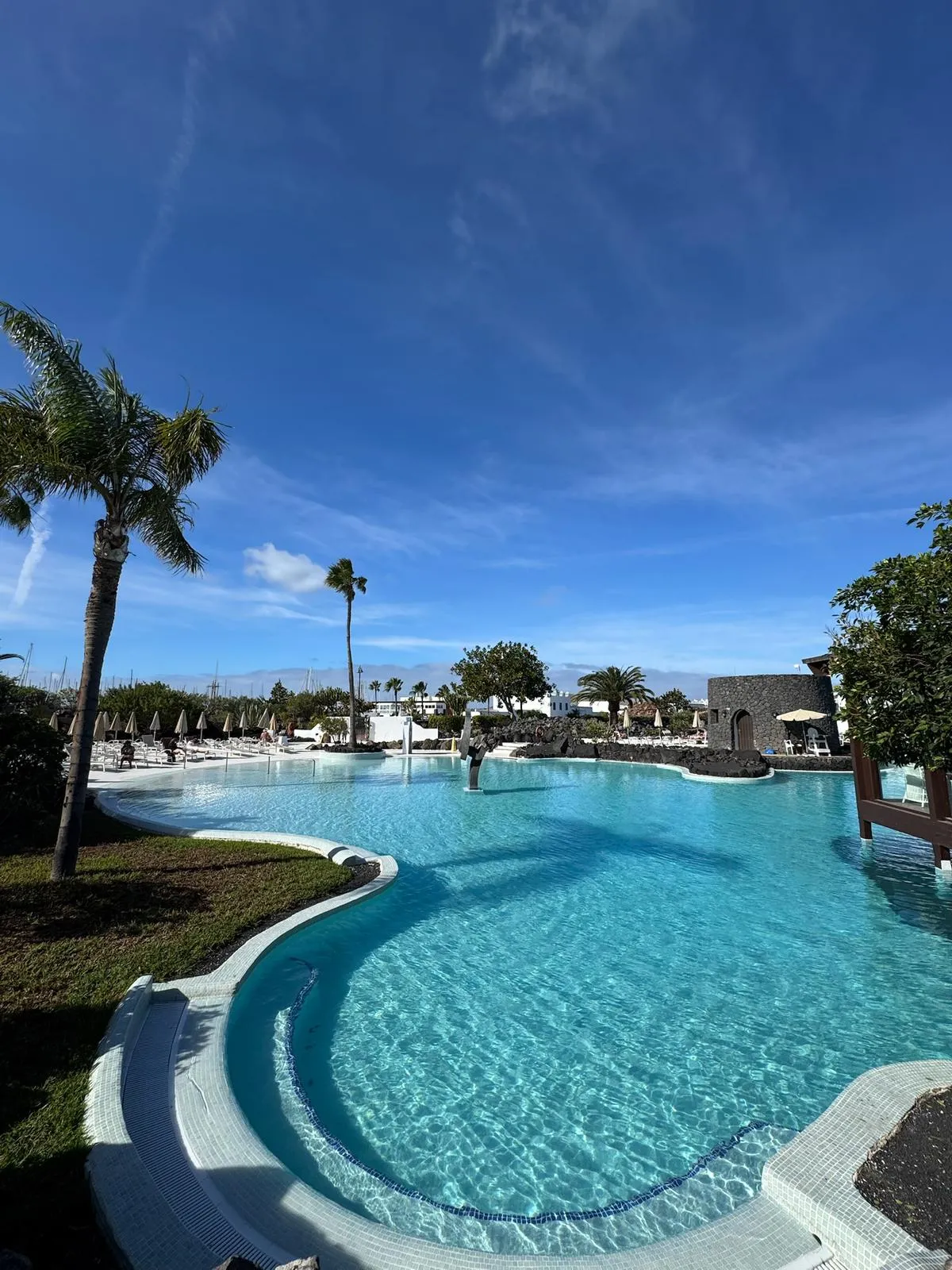 WhatsApp Image 2026-01-25 at 20.14.35