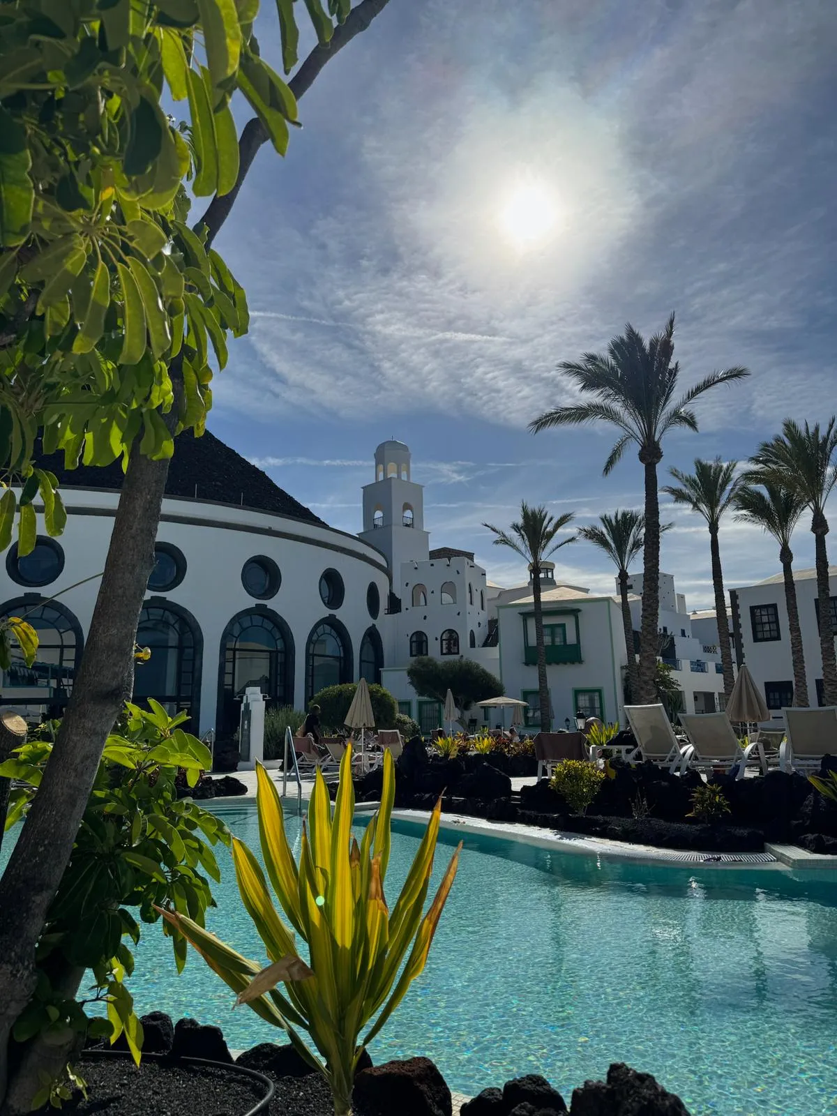 WhatsApp Image 2026-01-25 at 20.14.42 (1)