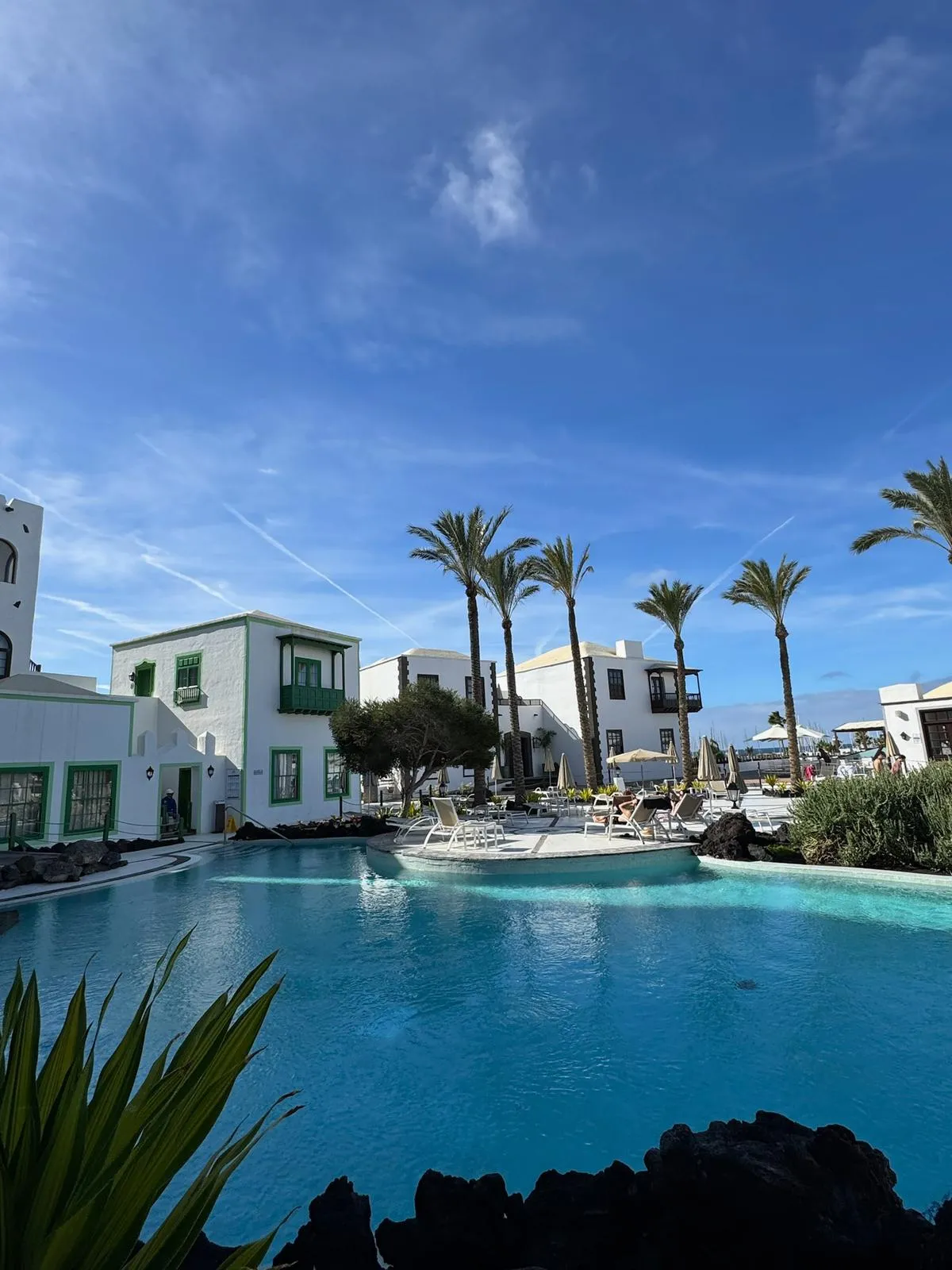 WhatsApp Image 2026-01-25 at 20.14.55