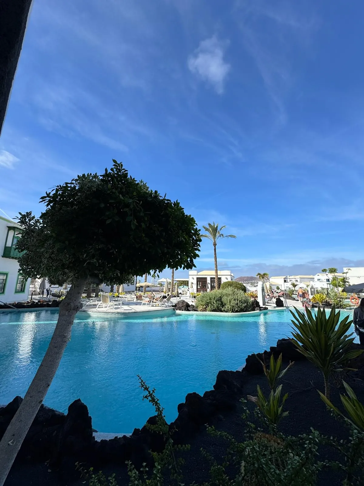 WhatsApp Image 2026-01-25 at 20.15.47 (1)