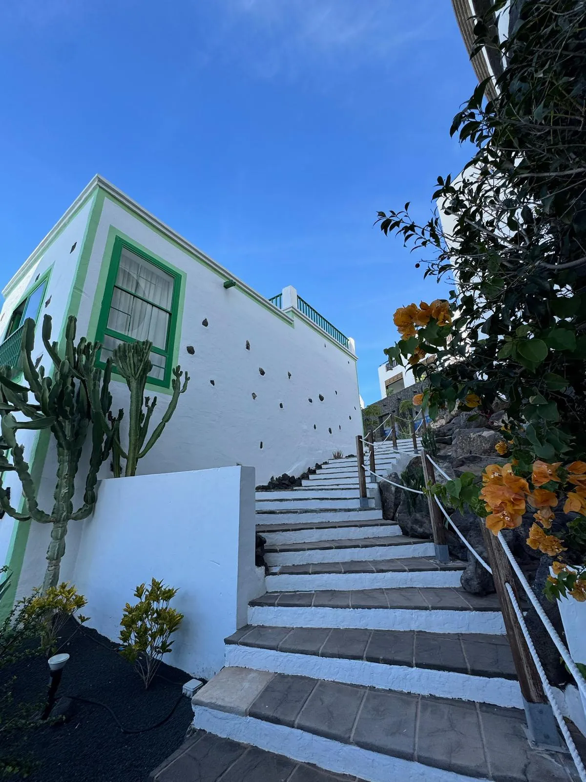 WhatsApp Image 2026-01-25 at 20.15.47